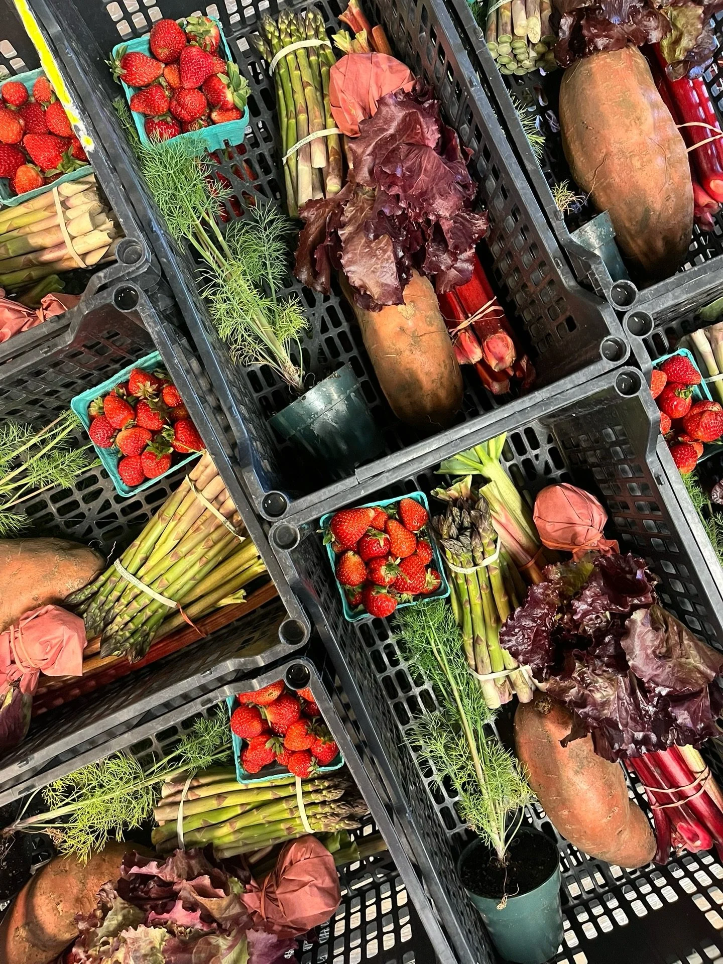 What do all of these farm fresh goodies have in common? Well, in addition to all being grown, raised, and baked right here on our farm in Innerkip, they can also be ordered for delivery to your doorstep during our growing season, from May through Nov
