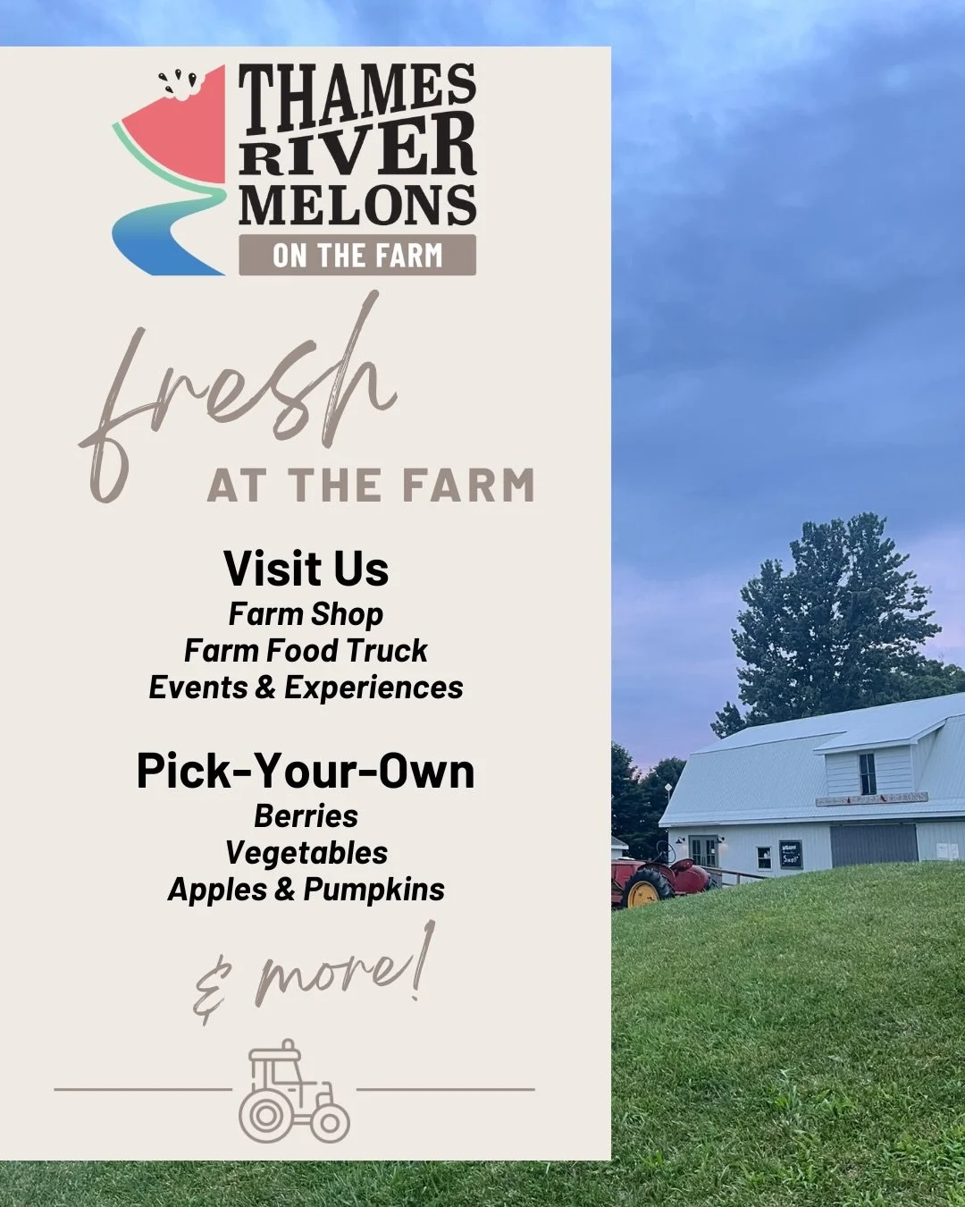 Thames River Melons&hellip; reintroduced! 🌟 

We spent much of 2025 hard at work planning a refreshed look and updated website. It was such an exciting process, and we are delighted to introduce you to our new organization and layout, featuring an u
