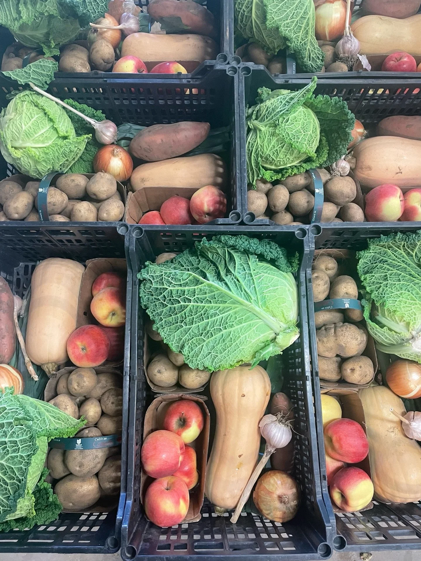 A Market Box is perfect for you if&hellip;

✅You&rsquo;re looking for a guarantee to eat more vegetables.
✅You want to become a better cook.
✅You&rsquo;re looking for confidence in knowing where your food comes from.
✅You care about low-waste options
