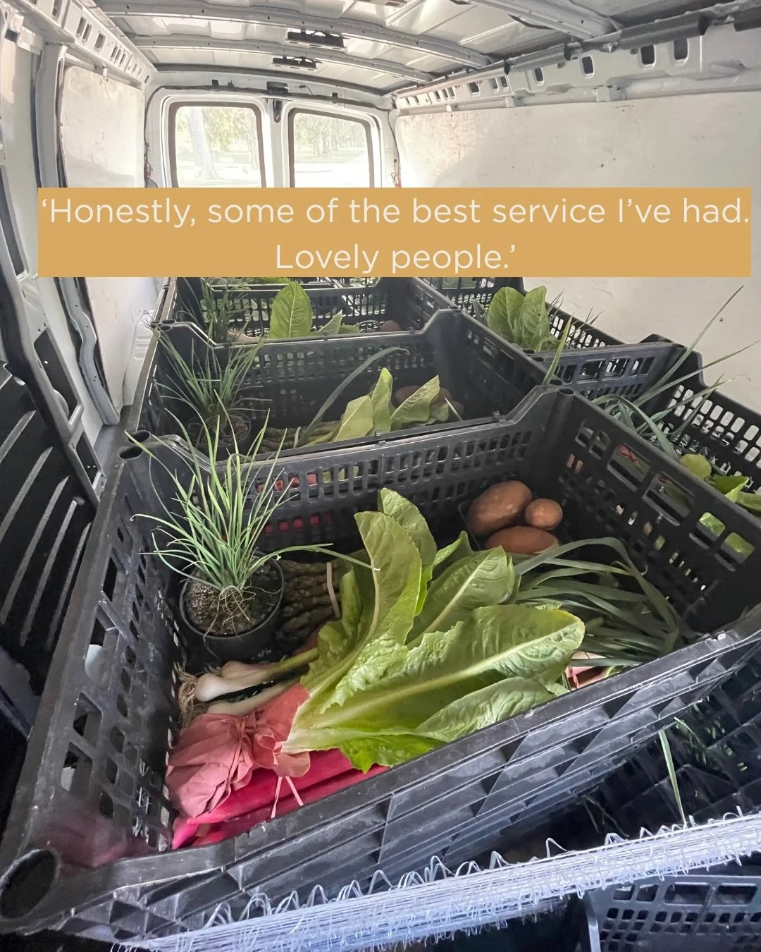 Just a few kind words from our favourite friends of the farm💚

Get your own Market Box deliveries this year. Annual subscriptions are only available until March 31st!