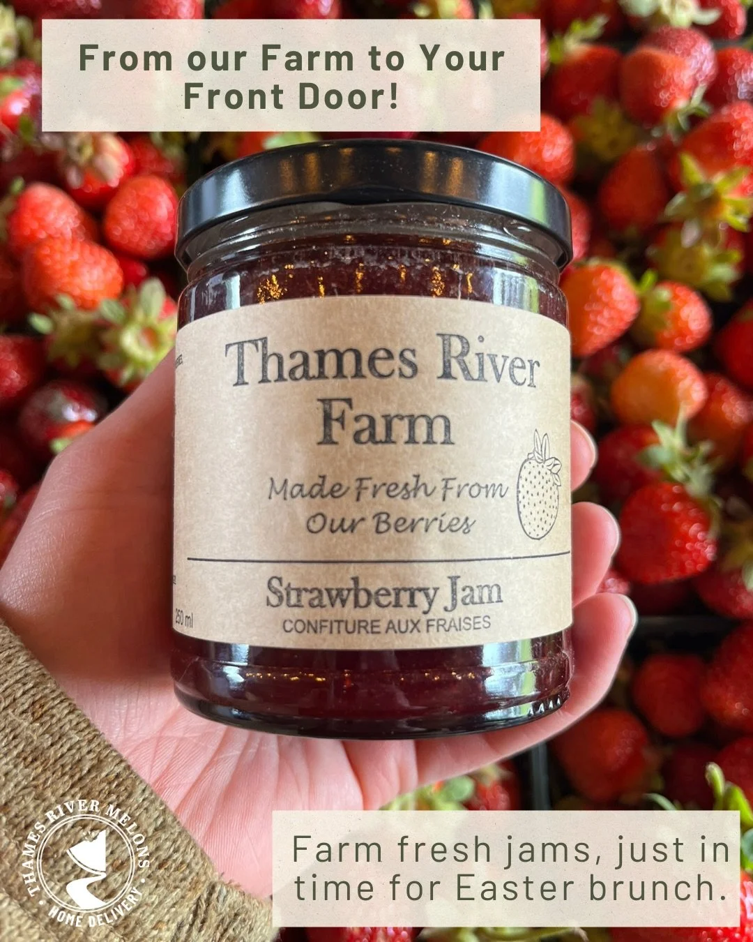 Order by tonight at midnight for delivery next Thursday (April 2nd), just in time for the long weekend. And remember, you can order for yourself or you can send some farm fresh goodies to a friend!
