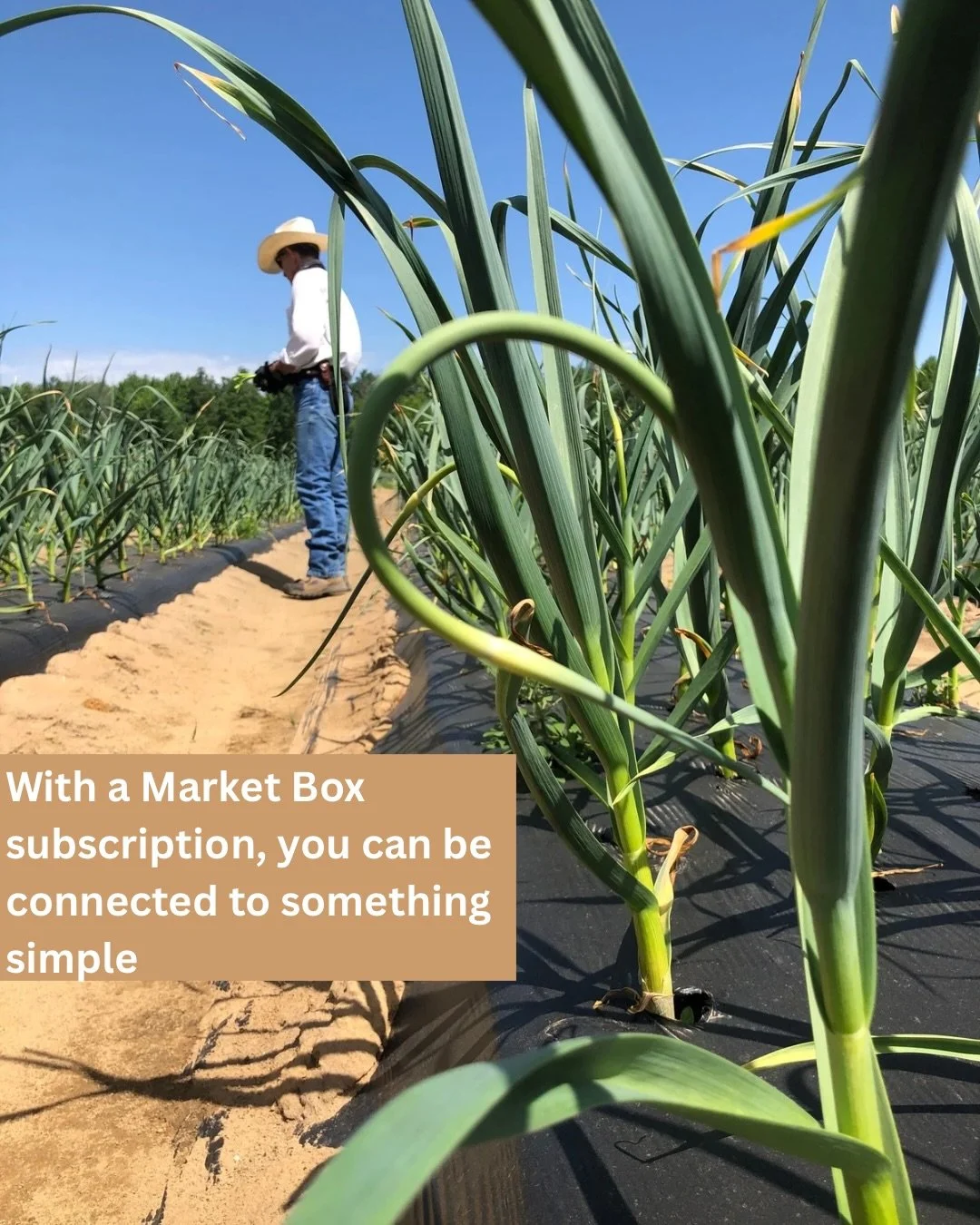 An Annual Market Box is the ultimate investment in security. Feel the sigh of relief that this is one cost you can lock in right now. You&rsquo;ll save up to 15%, pay once up front, and there are no additional charges for the remainder of the year.👨