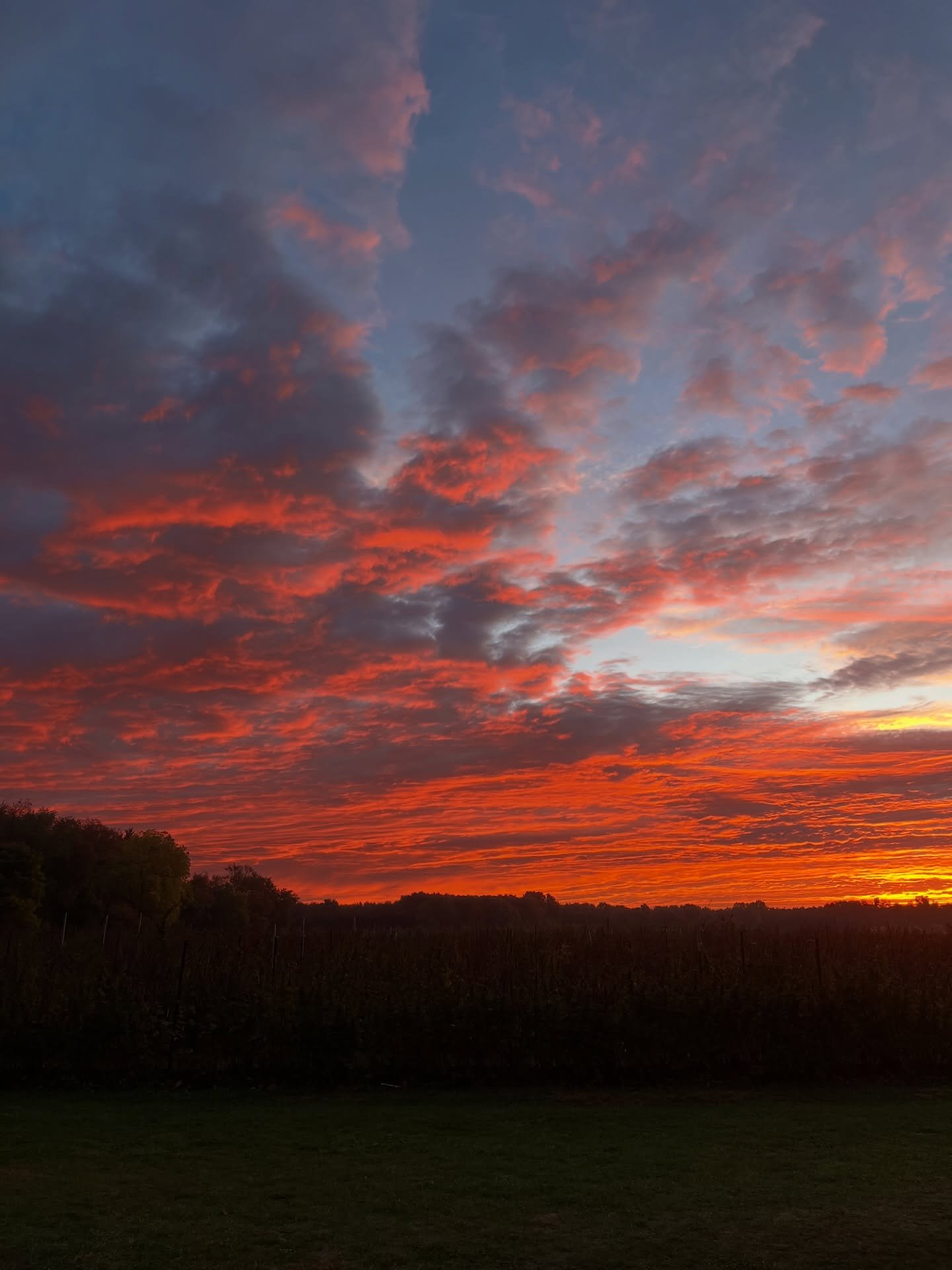The sun is setting on our biggest savings of the season! 🌅 Annual subscription sales close tonight at midnight. If you want to secure a season full of deliveries to your door, head to our website and place your order now. Choose from fresh produce, 