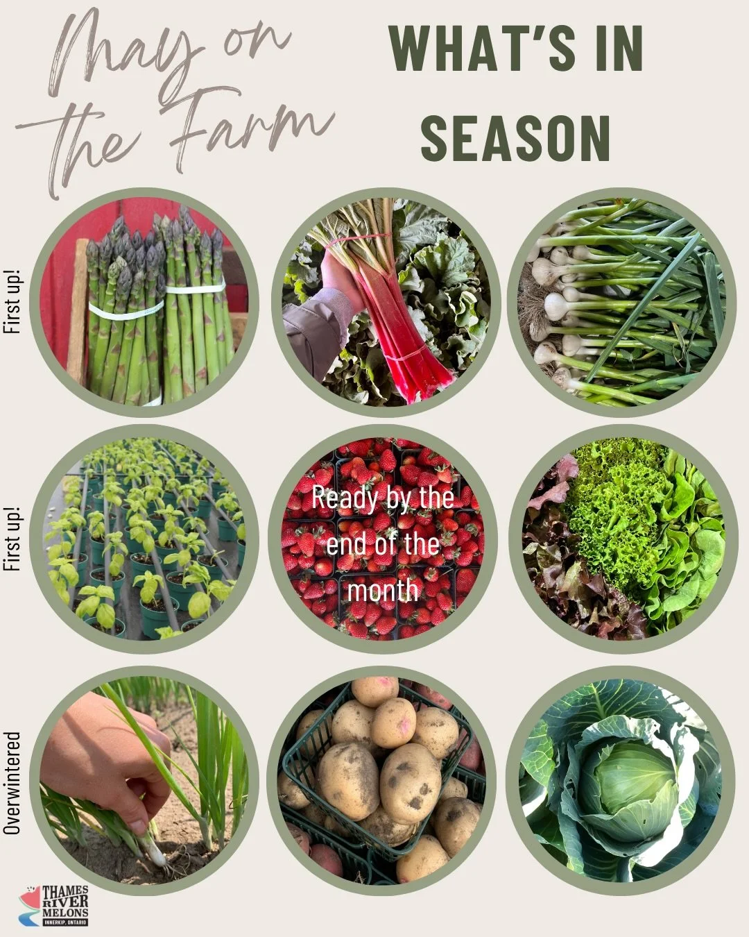 We are so excited to be entering a new month here on the farm, the first official one of our 2026 season! Swipe through these slides to see what&rsquo;s to come 👀
