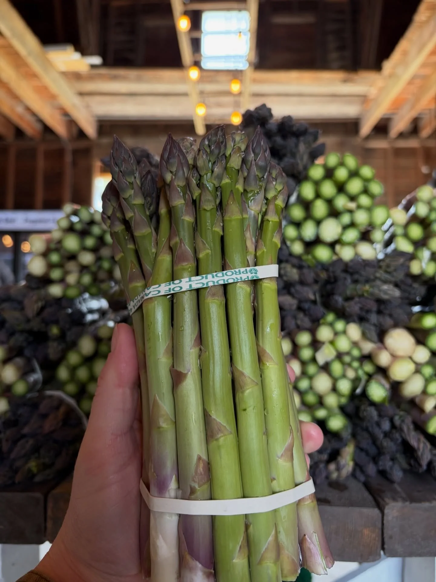 Come and get it! 💚 Asparagus season has officially arrived. We&rsquo;ll be stocked up daily at our Farm Shop (open 9-5 Monday through Saturday), you&rsquo;ll find some in our first round of home deliveries, and we&rsquo;ll be heading out to some far