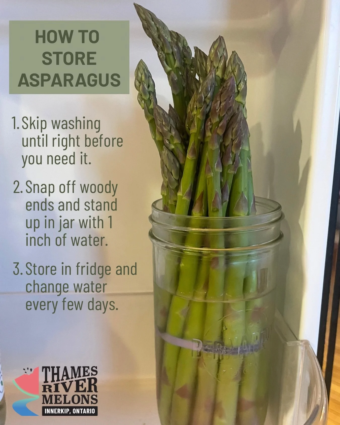 If you want to keep your asparagus crisp, take a few minutes as soon as you bring your bunch home. It will taste better and last longer.🙌

When storing asparagus, skip washing until right before you eat it. Snap off the woody ends and stand the spea