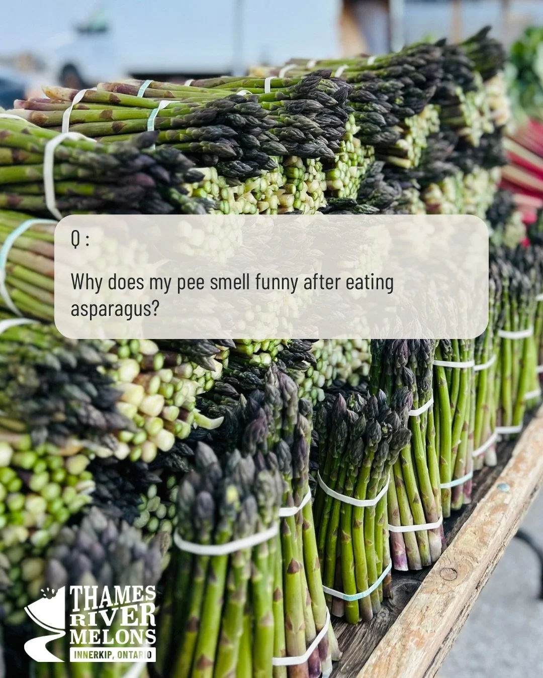 We&rsquo;re here to answer the age old question &mdash; what&rsquo;s that smell?! Swipe to learn more 👉