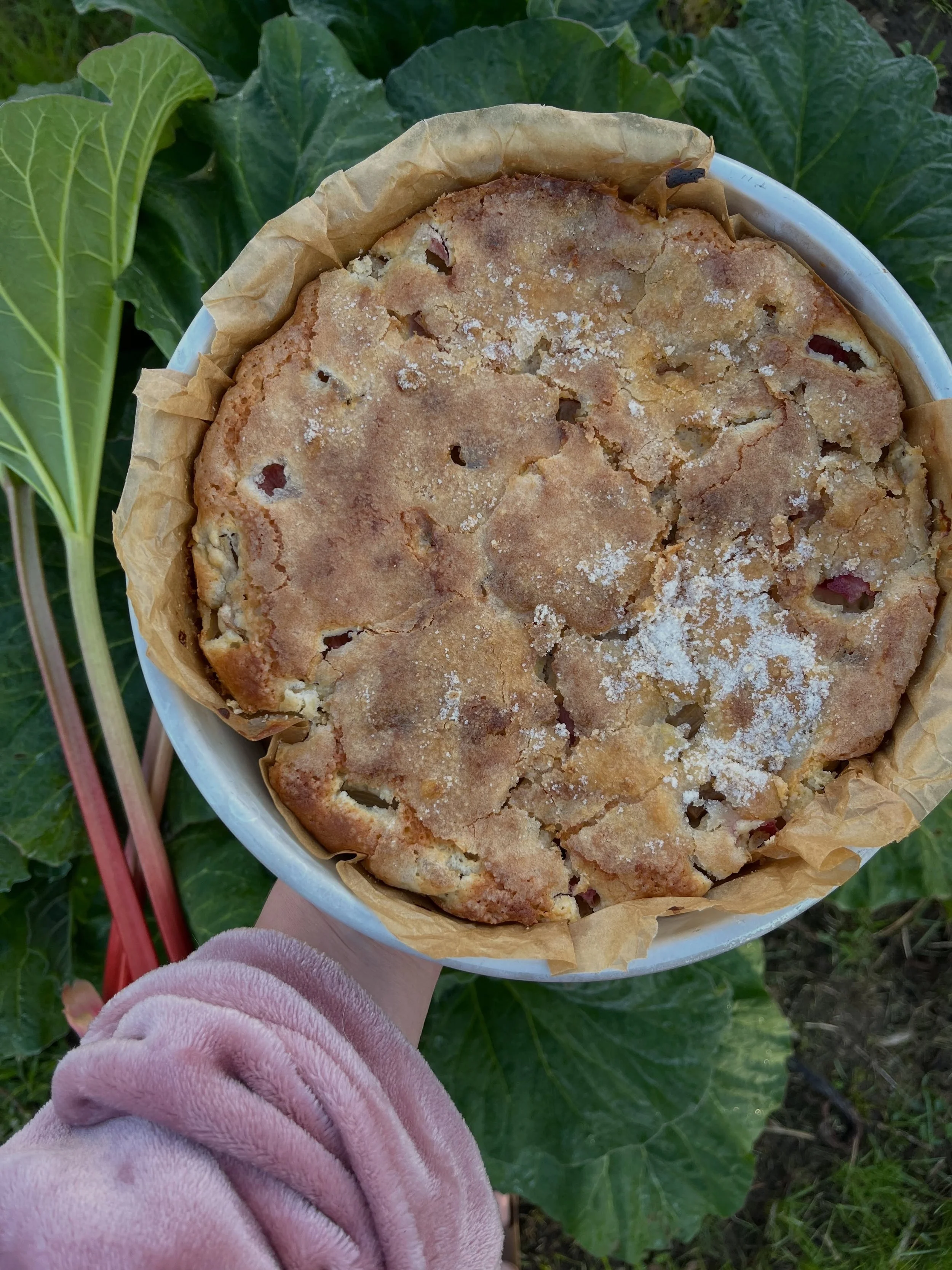New recipe alert! Rhubarb Lemon Almond Cake &mdash; the perfect weekend baking project 🍰 Comment &lsquo;cake&rsquo; below and we&rsquo;ll send the details straight to your inbox 📥