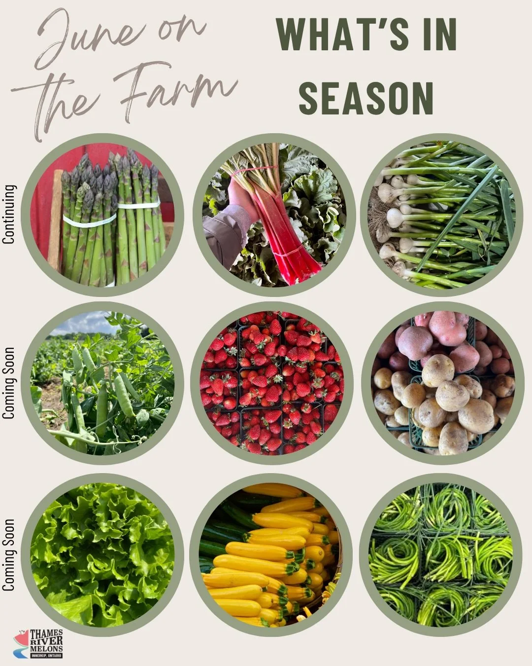 Welcome to June! ☀️ We&rsquo;re so excited for what&rsquo;s to come this month. Swipe through to see all the details, and keep reading below for some highlights:

🍓New produce will be joining in the fun, with our highly anticipated pre-picked strawb