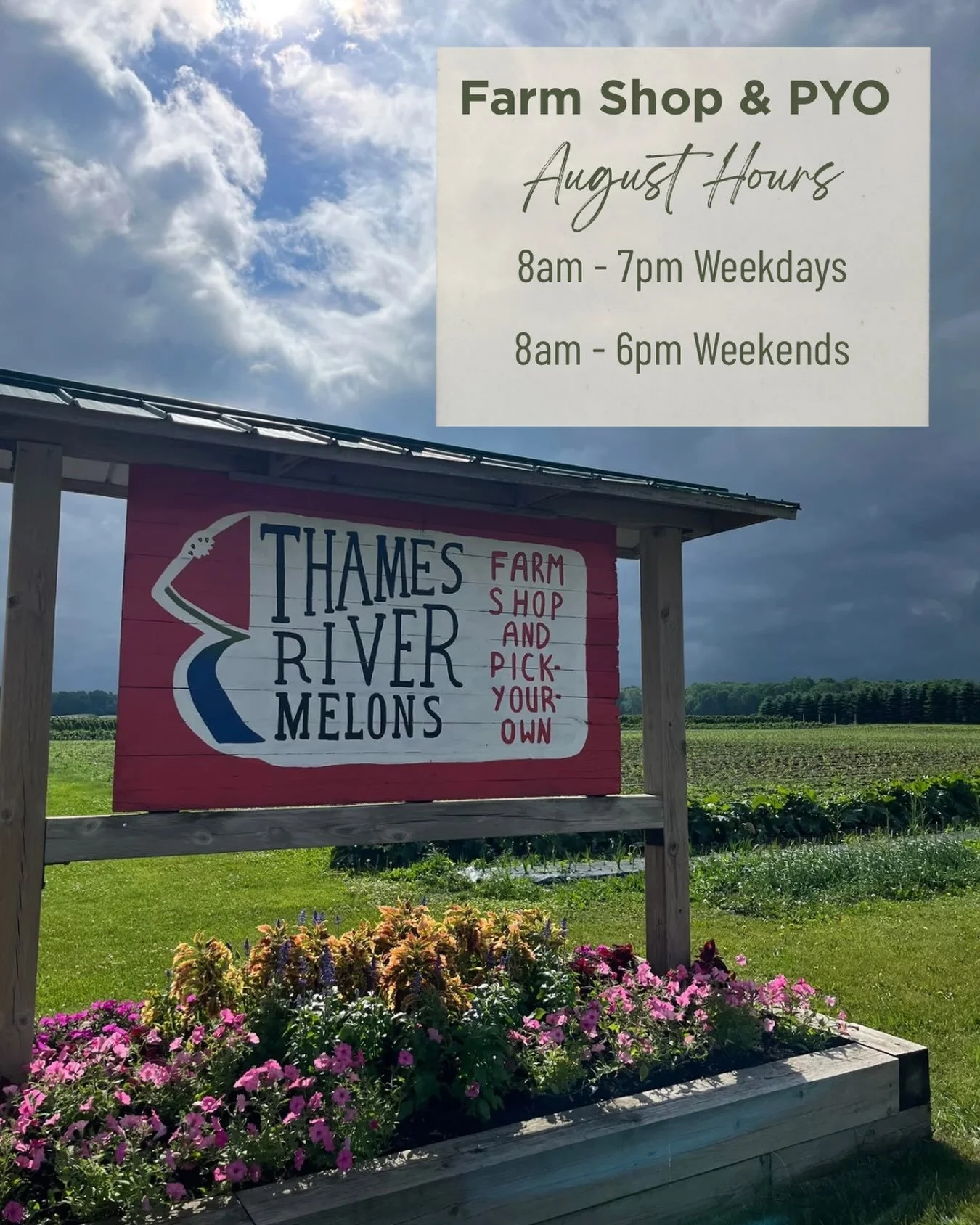 ⏰ August Hours on Farm ⏰ 

🥕For the rest of the month we&rsquo;ll be open 8am - 7pm on weekdays and 8am - 6pm on weekends. We have a huge selection of veggies available for picking! Unfortunately our blueberry crop is in a bit of a lull right now, b