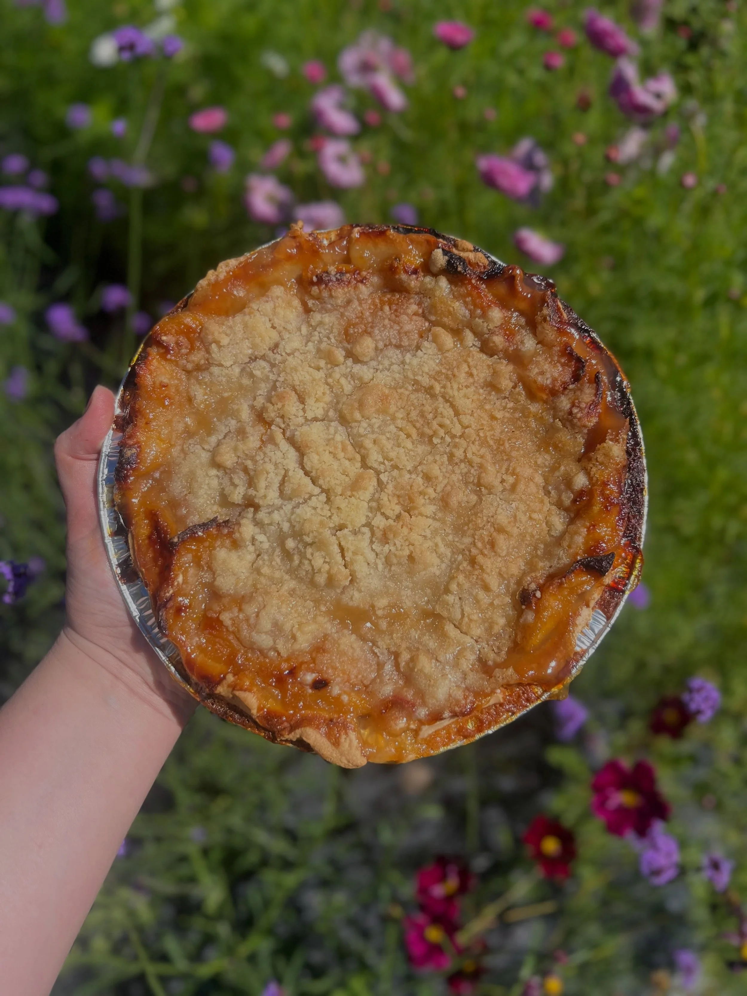 🍑🥧 LIMITED RELEASE: Peach Pie! 🍑🥧 

Due to the harsh winter we experienced this season, our fresh peaches experienced a crop failure. 

While we&rsquo;re sad to lose out on the fresh version of our fave new crop, we very luckily stashed a few awa