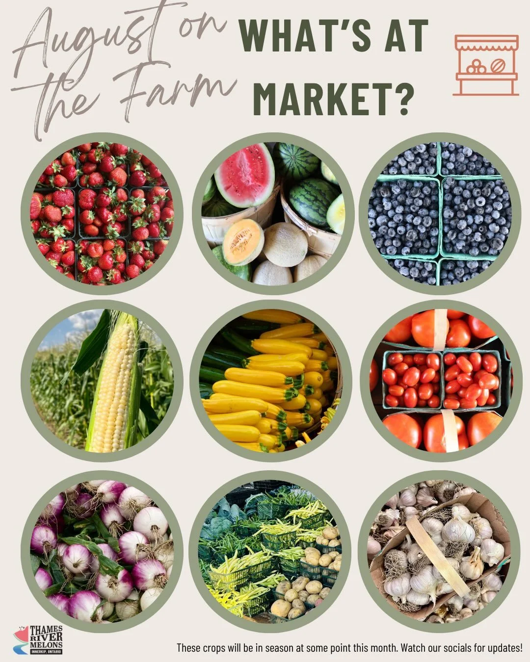 ☀️ August at Thames River Melons! 🍉

The harvest is *so* bountiful right now! Here&rsquo;s what you can expect to find during the summer months👇Heads up, you&rsquo;re going to need to swipe

AVAILABLE NOW:
🍓 Juicy strawberries and blueberries
🍉 R