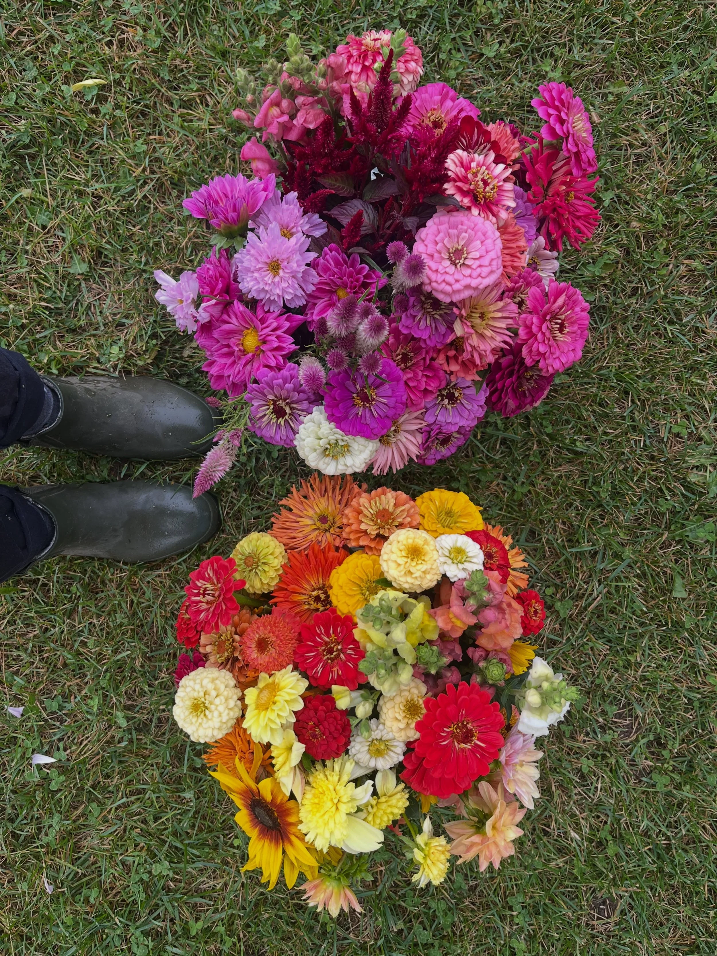 🌼 Bucket of Blooms! 🌸

Hosting a backyard party? Want to get crafty and have a flower arranging girls night? We&rsquo;ve got just the thing &mdash; a bucket full of beautiful seasonal blooms!

A mix of sunflowers, zinnias, asters, snapdragons, cosm