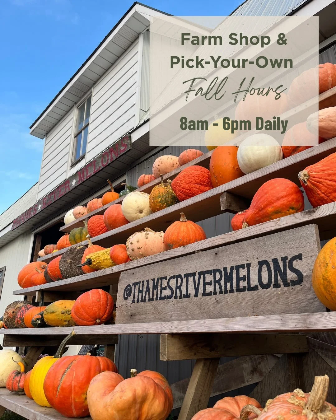 Fall on the Farm 🍂 

It&rsquo;s one of the most beautiful seasons here on the farm, with signs of late summer sprinkled in amongst the fall finds that are beginning to take over. Are you ready to join in? We&rsquo;ve got everything you need for a go