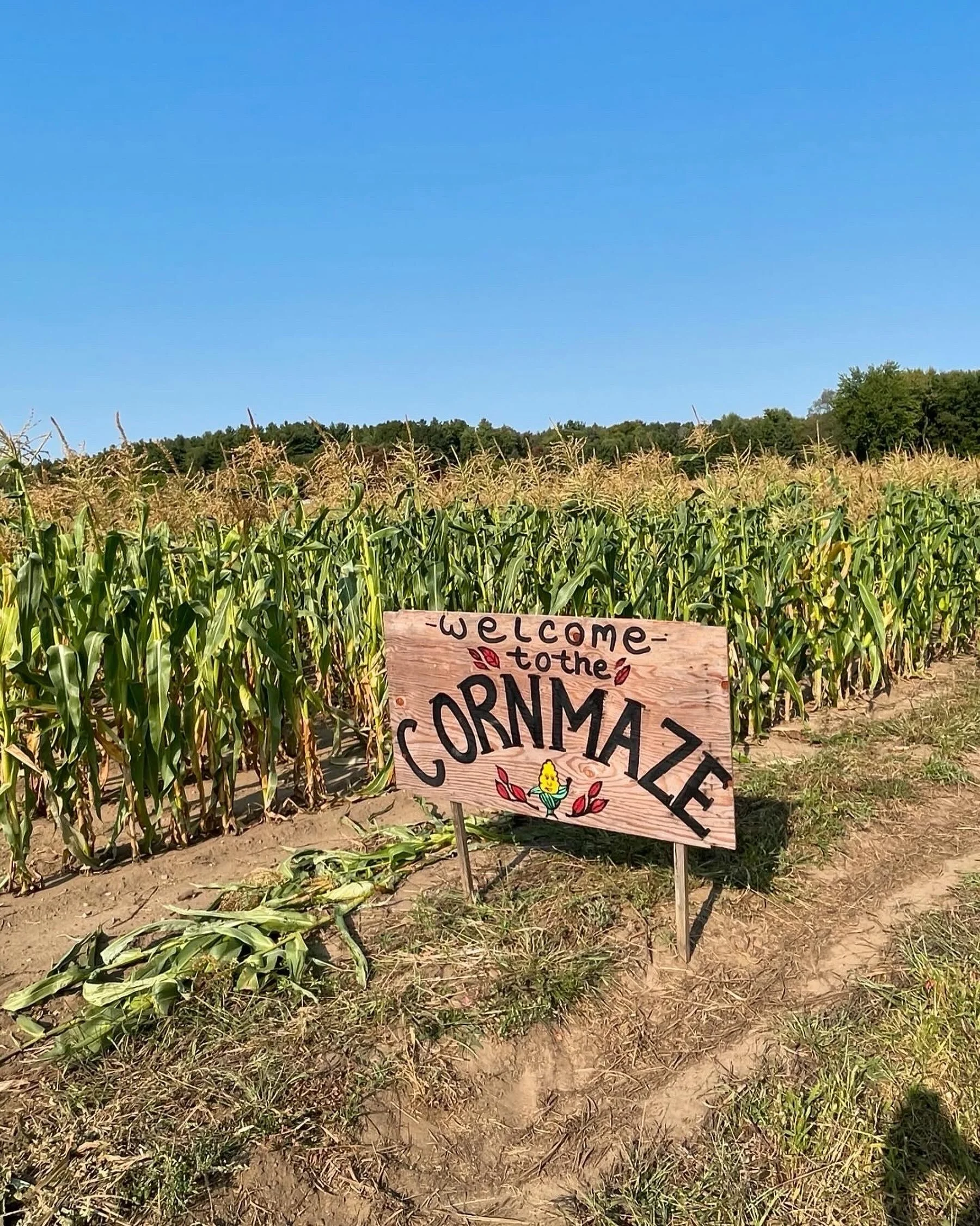 Are you ready to try your hand at escaping the corn maze? Our 2026 edition is officially open now! 🌽 

A huge thanks to Farmer Grant for crafting this experience. Free to enter during our regular operating hours, 8am - 6pm daily. See you soon!