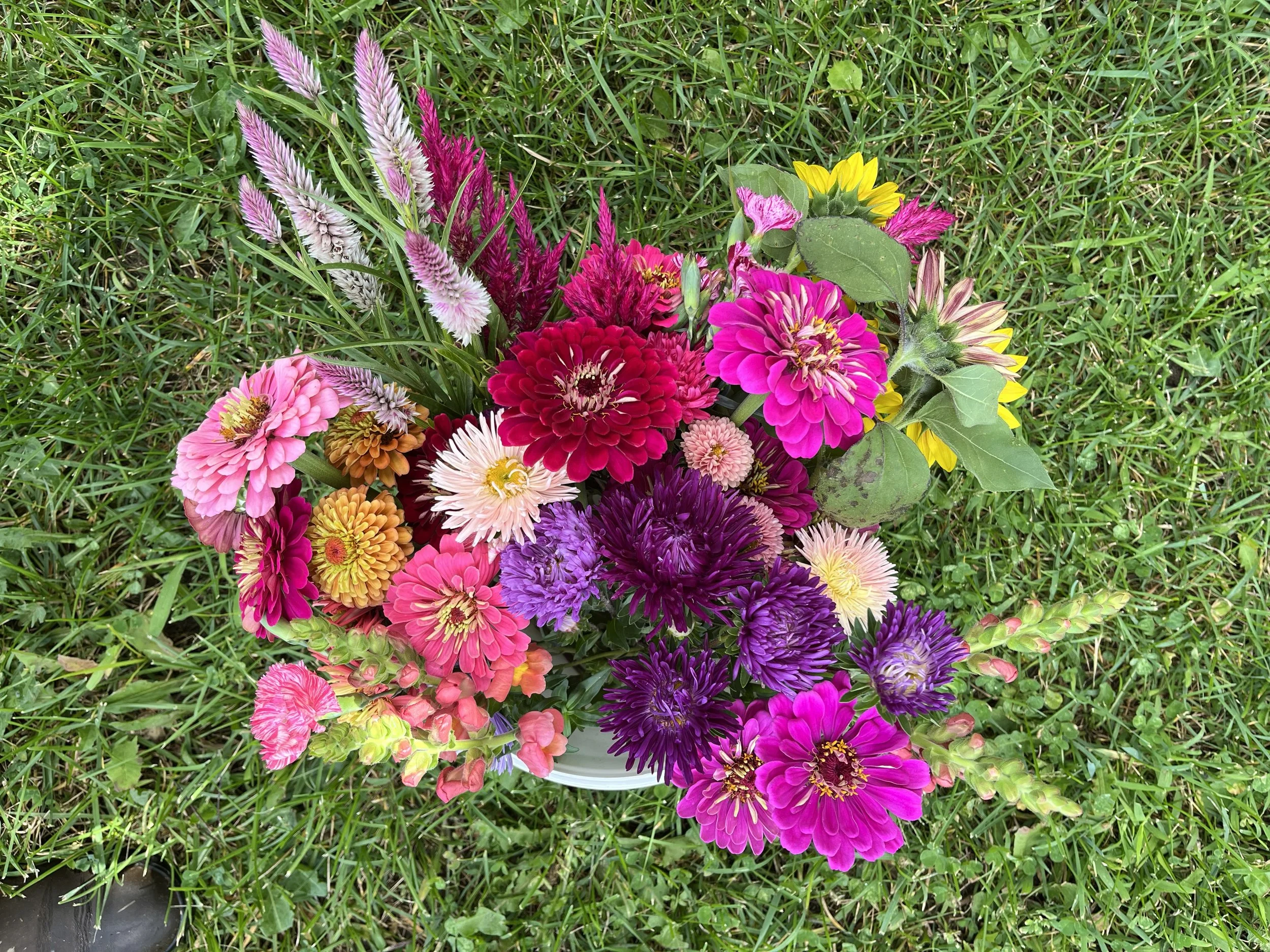 Bucket of Blooms: Week 15