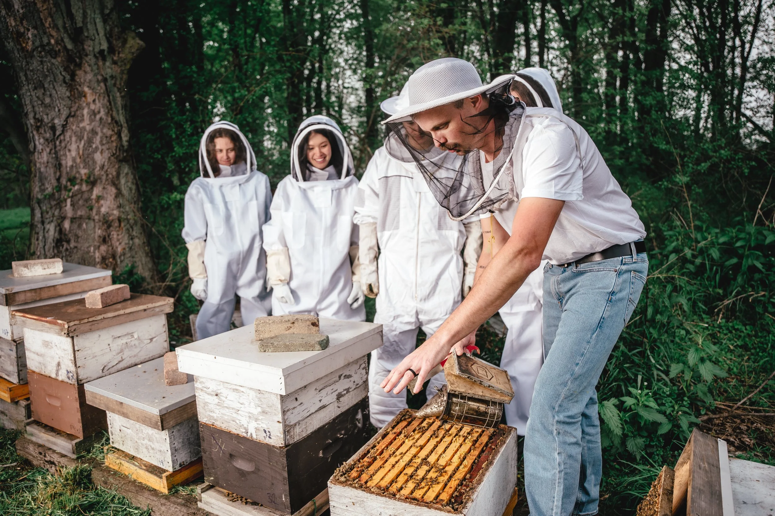 Beekeeper wearing a veil and opening a hive with 4 people in the background wearing beesuits and watching