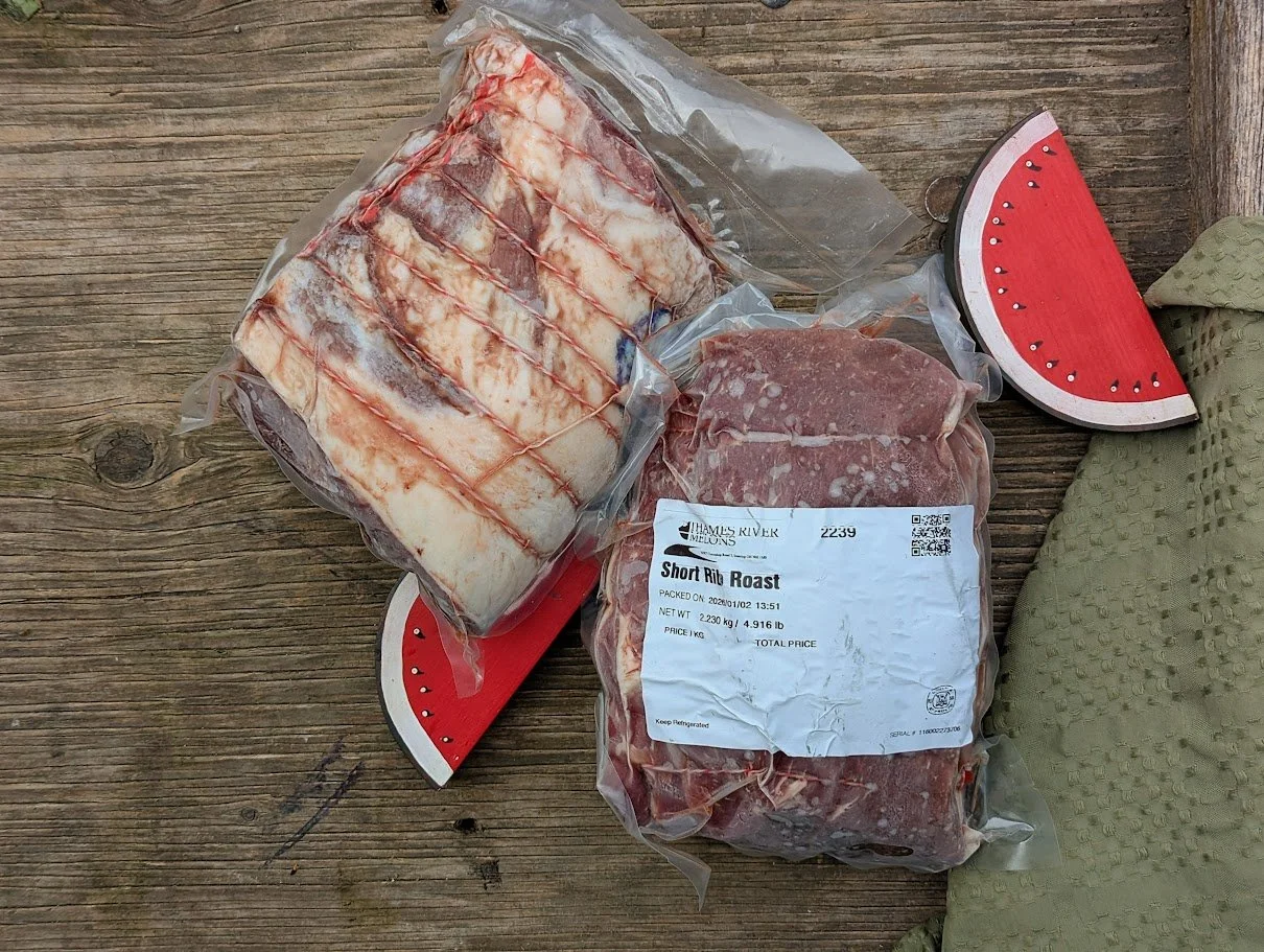 Black Angus Short Rib Roast: Week 5