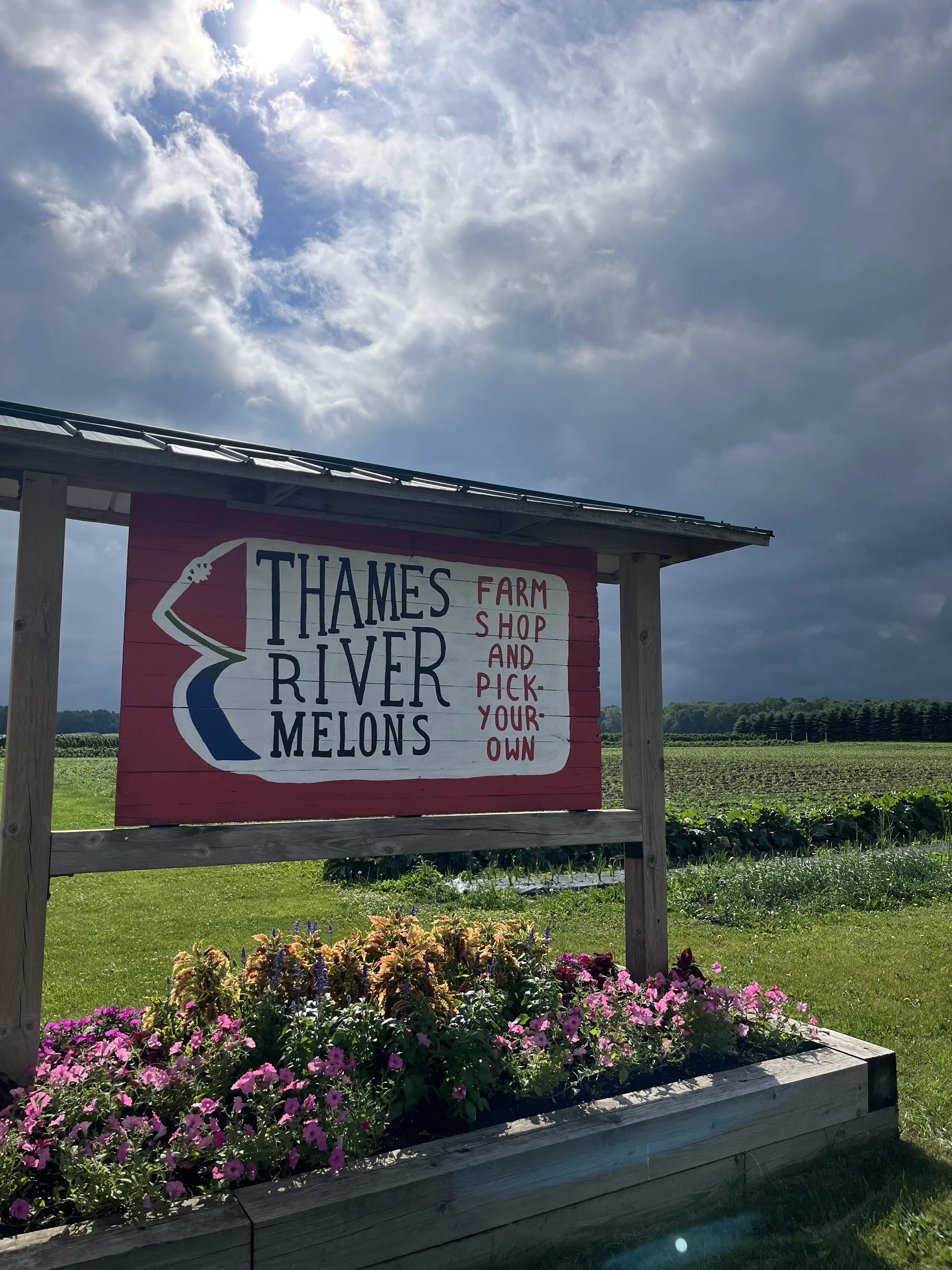 A sign that says "Thames River Melons" with a dark cloudy sky and some fields in the background