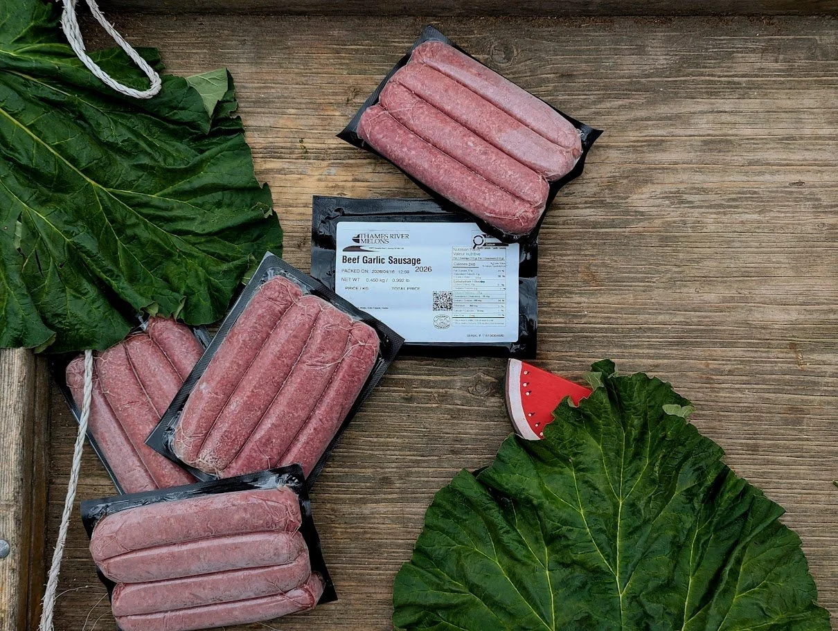 Sausage 004.jpg