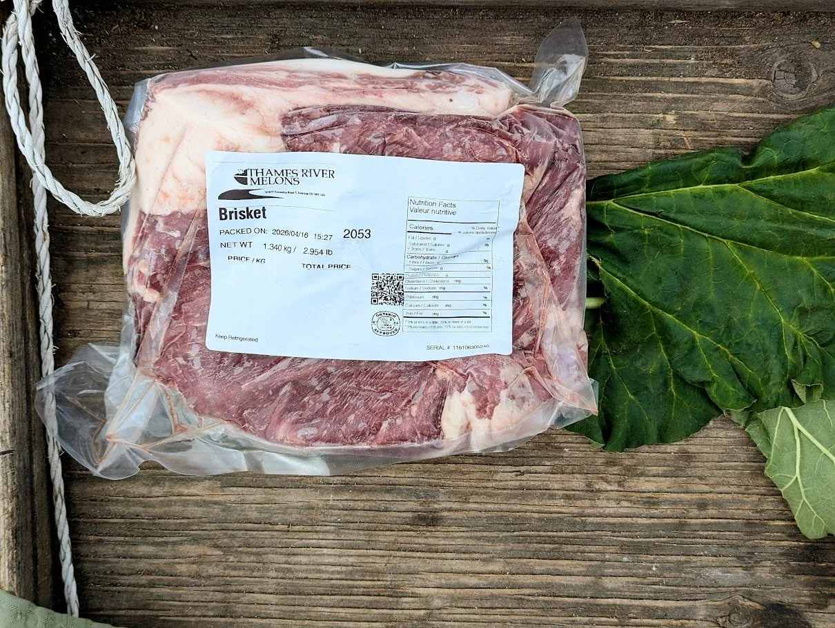Brisket 004.jpg