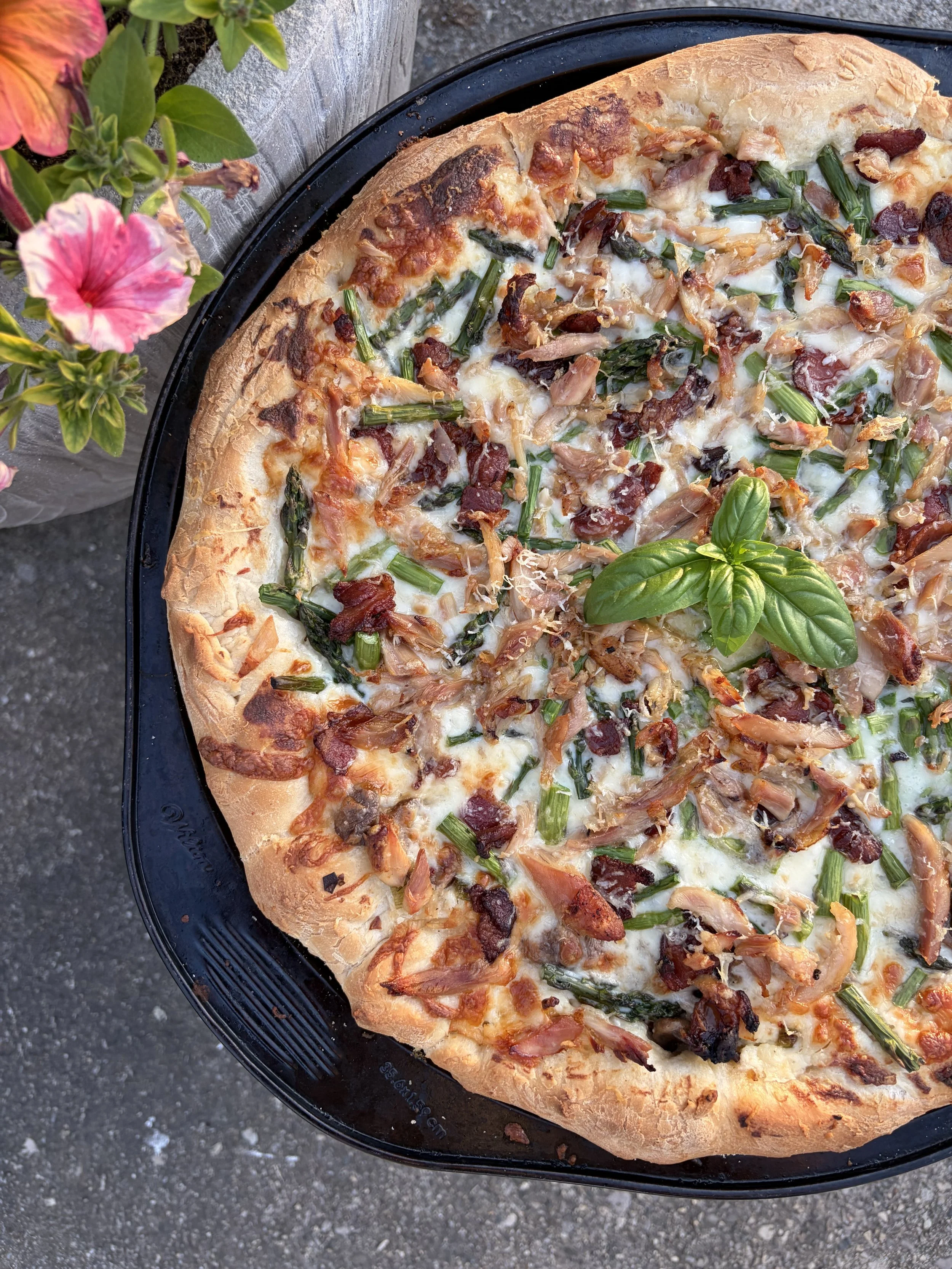 Asparagus and chicken pizza topped with fresh basil