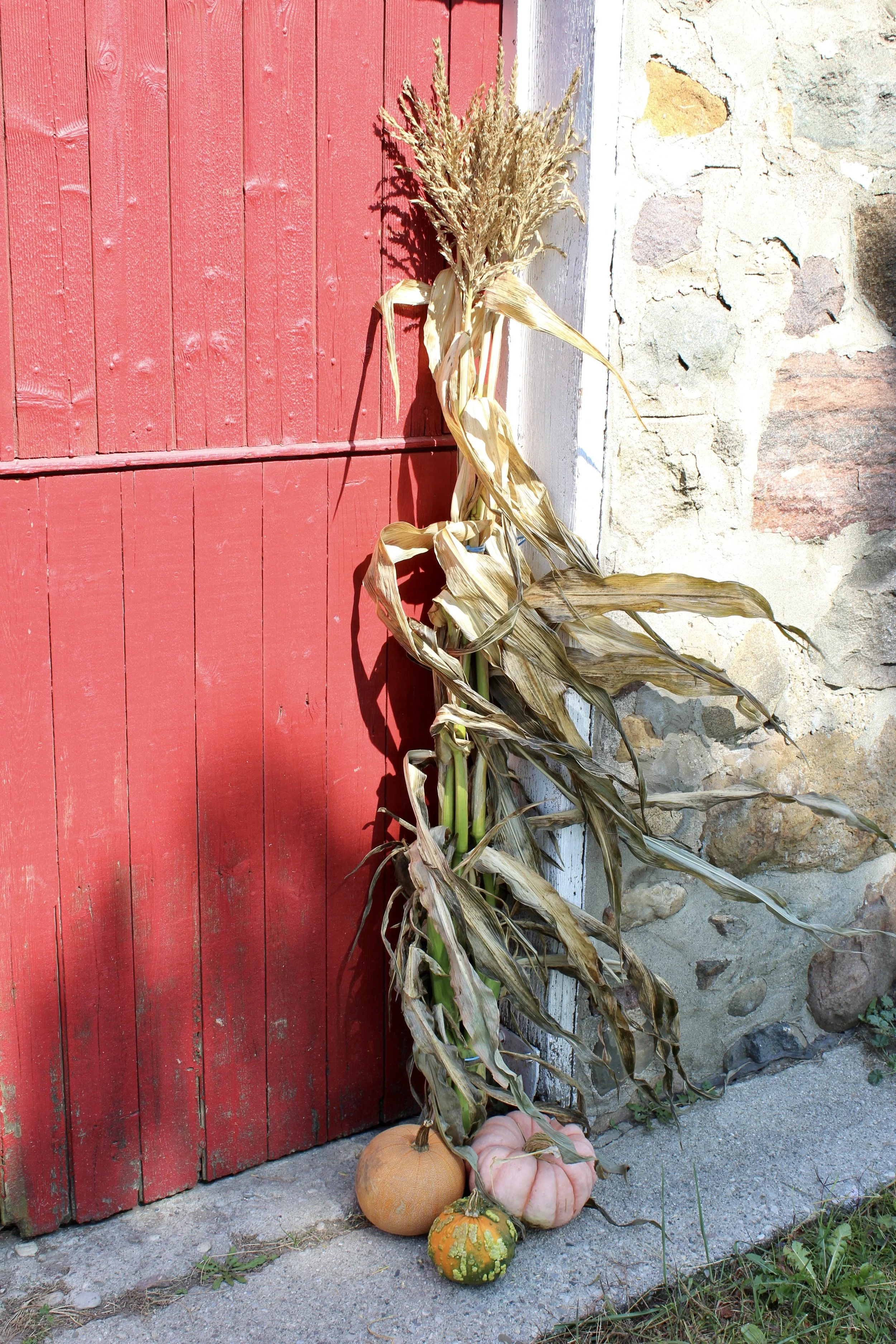 IMG_E6570.JPG