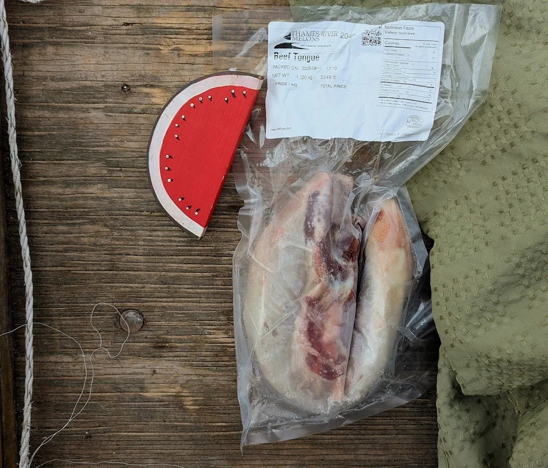 Black Angus Beef Tongue: Week 5