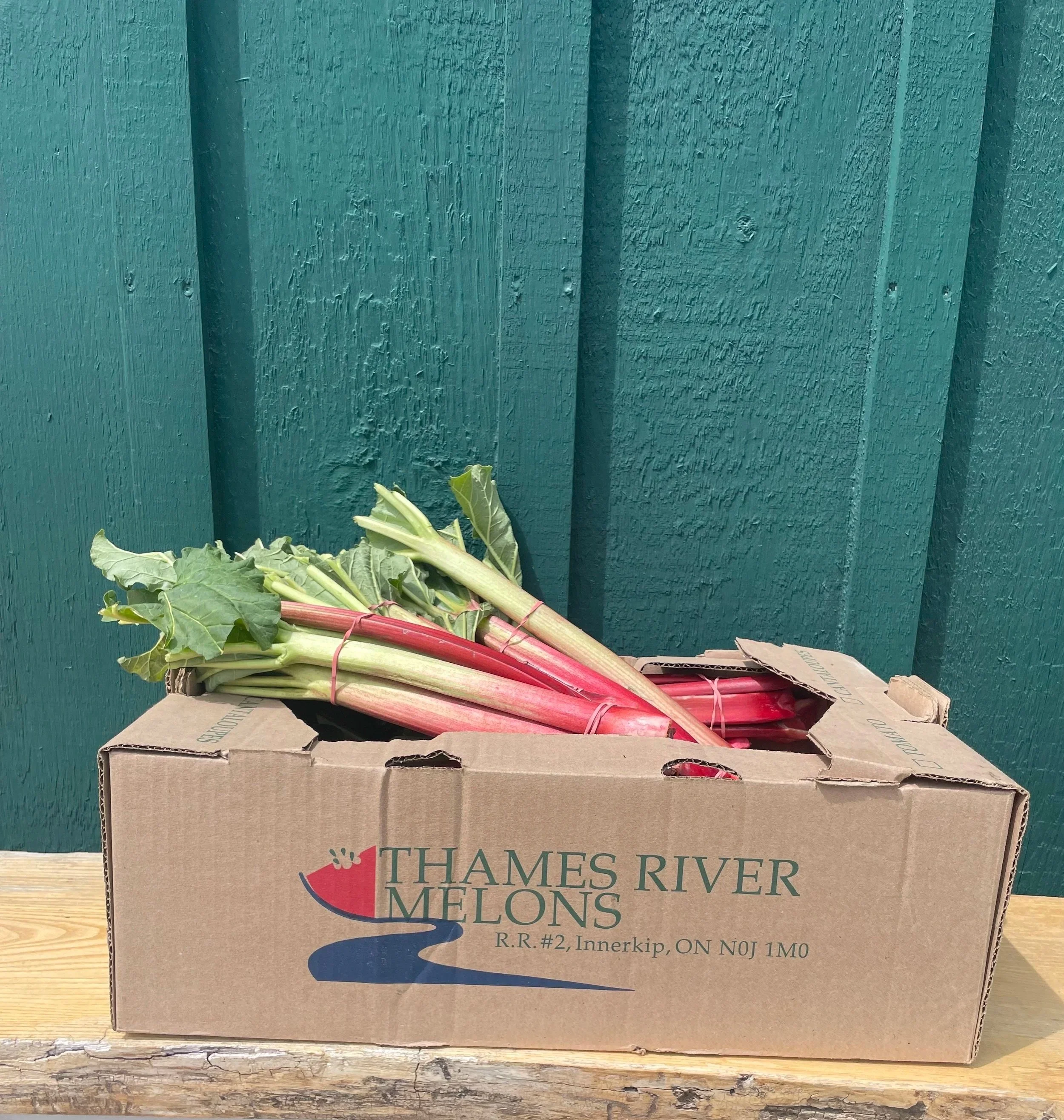 Bulk Rhubarb: Week 5