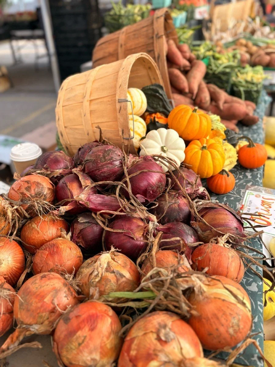 A display of onions, pumpkins, and gourds at a farm stand, with onions in the foreground and small pumpkins and gourds in the background.