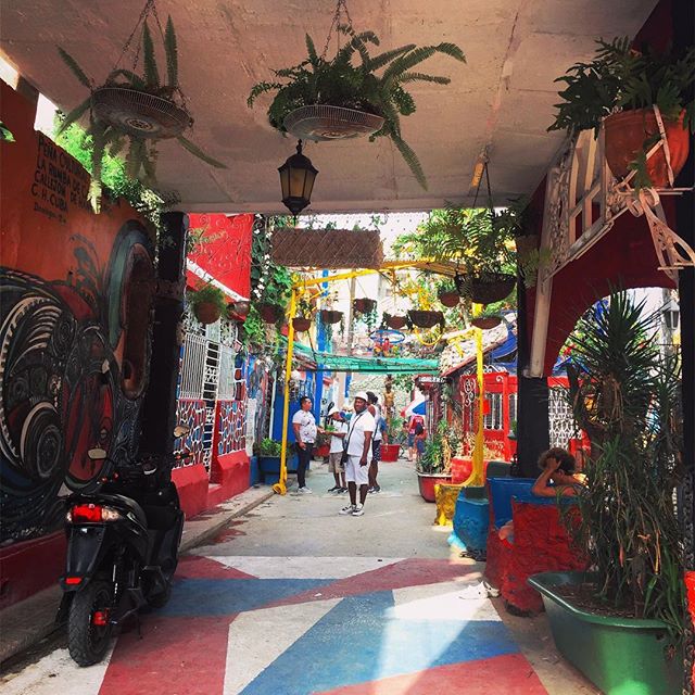 Colours and murals covered Callejon de Hamel, the heart of Afro-Cuban neighbourhood. Mural paintings, sculptures and lively locals who would love to show you around. So expressive are their creations!
.
.
.
#havana #cuba #callejondehamel #colours #pu