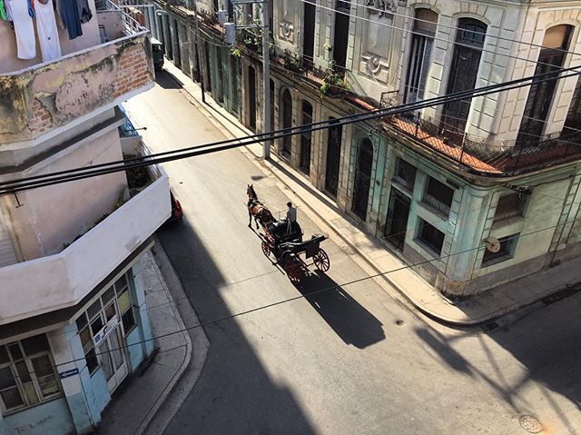 Horse carriages are still widely used in #Cuban daily life, both locals and tourists make use of them.
#rhythm11incuba
.
.
.
#havana #horsecarriage #publictransport #oldschool #streetscape #streetlife #lightandshadow #dawn #travelgram #aroundtheworld