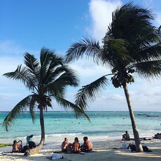 White sand. Crystal water. Palm trees. Swimming with turtles. Gotta love the Riviera Maya 
#summertime #beachtime #mexico #quintanaroo #rhythm11inmexico