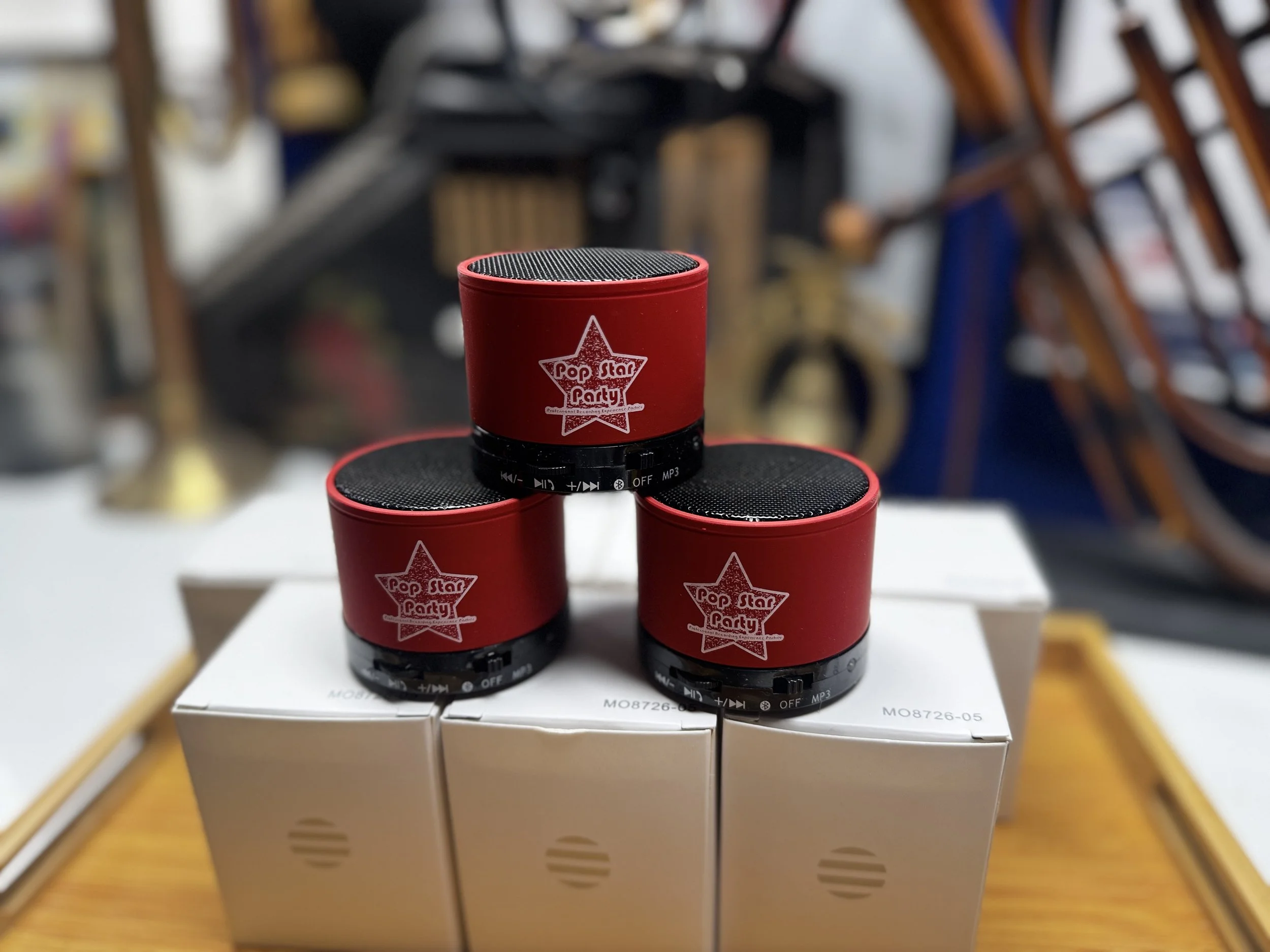 Pop Star Party Puzzle Speaker.JPG