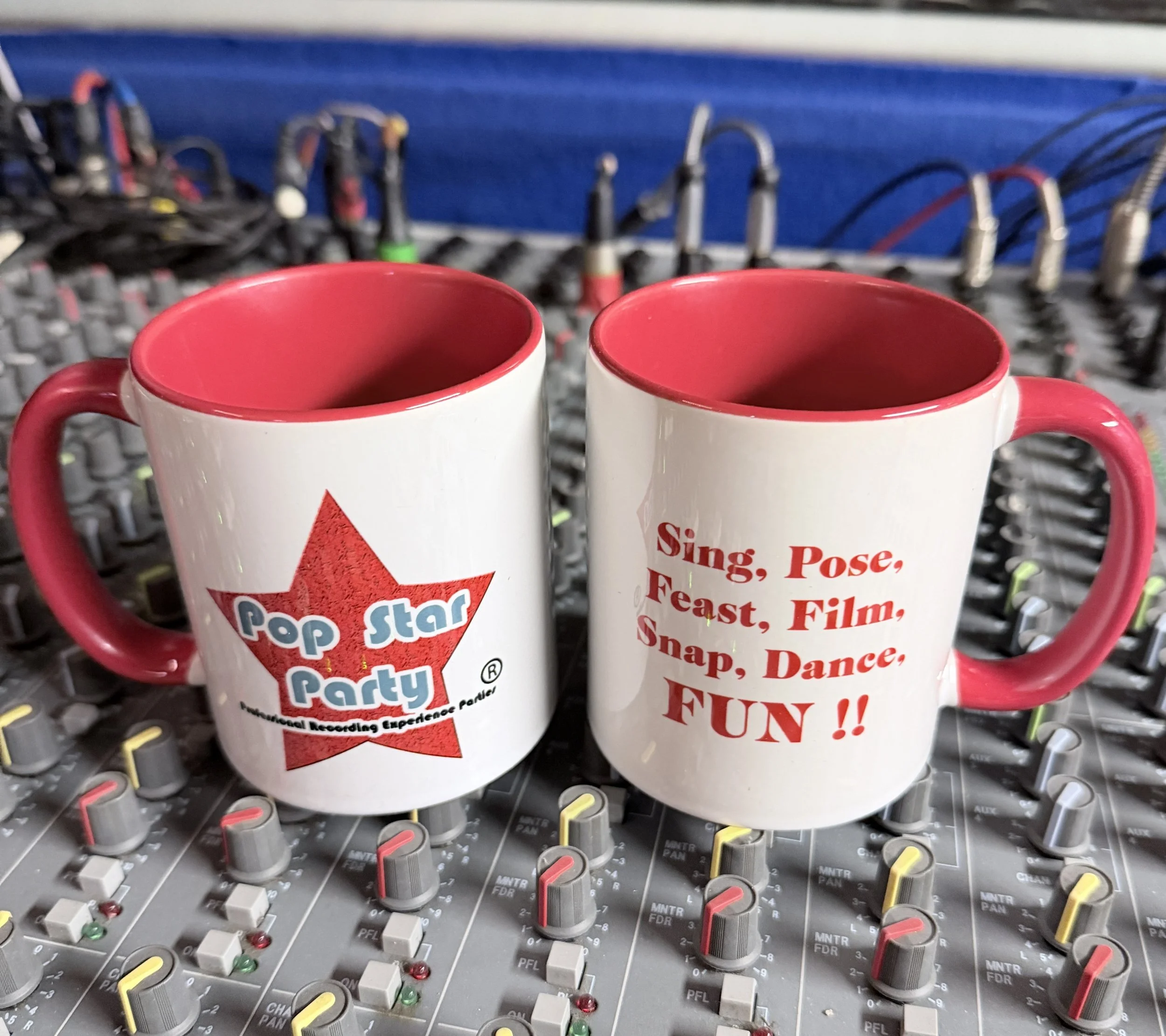 Pop Star Party slogan Mugs.JPG