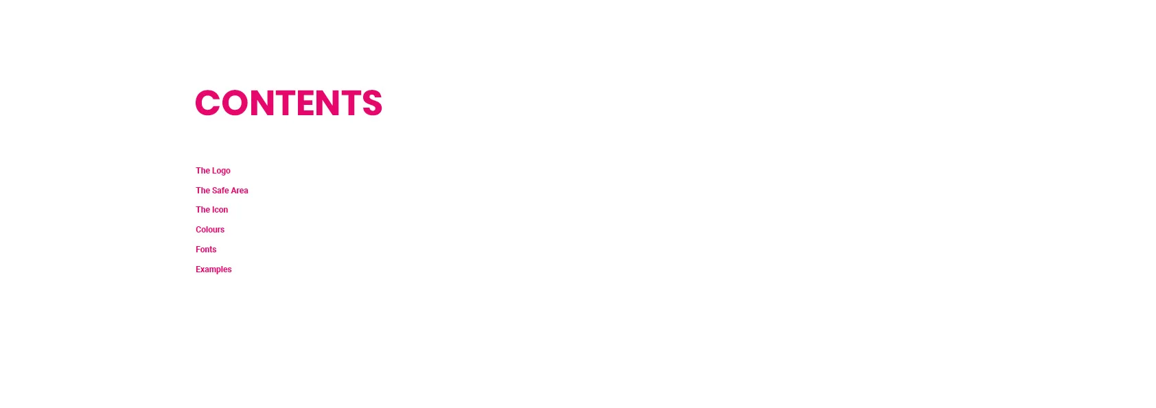 Spotstar Brand Guidline Book3.jpg