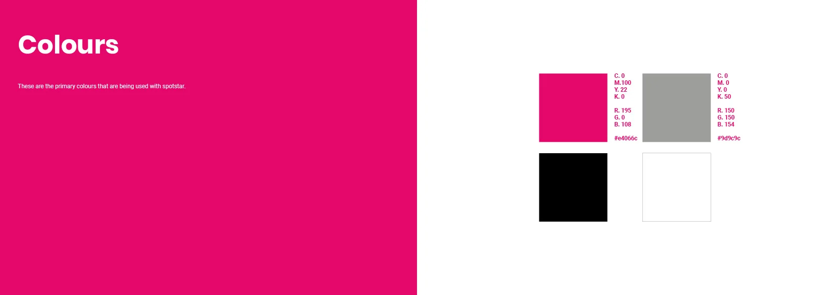 Spotstar Brand Guidline Book8.jpg