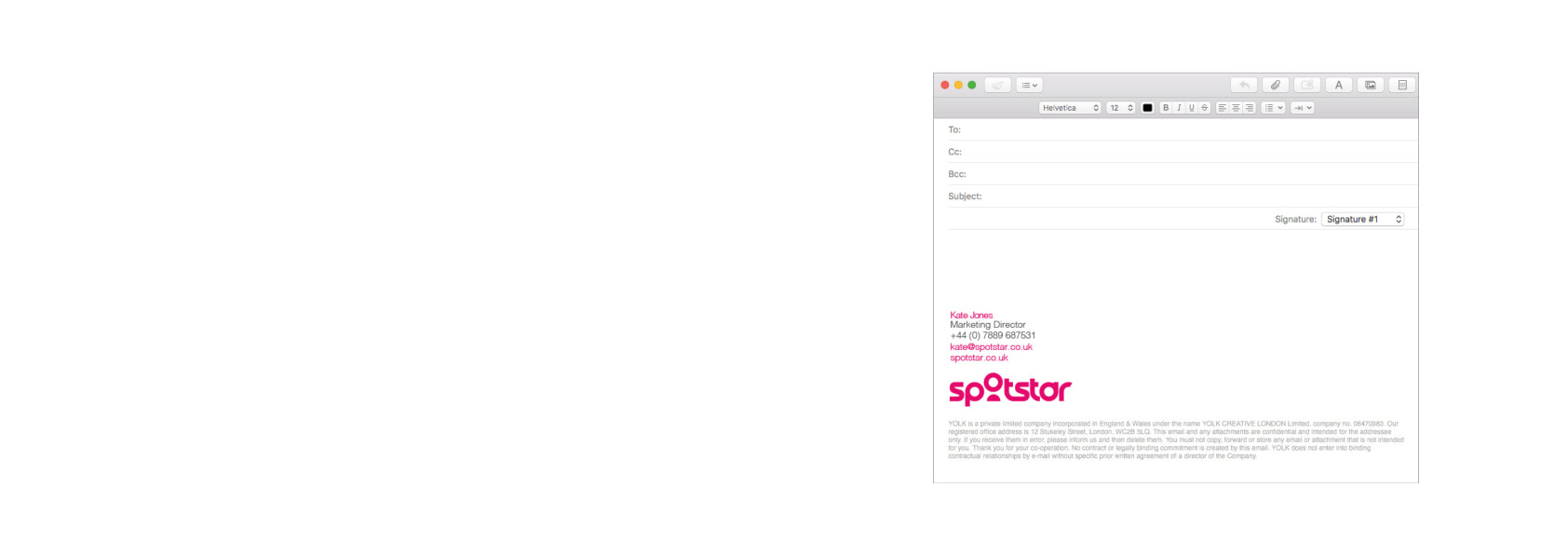 Spotstar Brand Guidline Book12.jpg