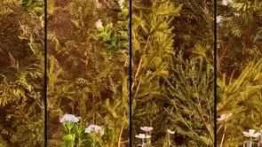 Mountain - Sunset - small