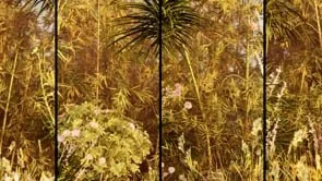 Dunes - Sunset - small