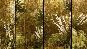 Dunes - Sunrise - small