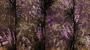 Dunes - Midnight - small