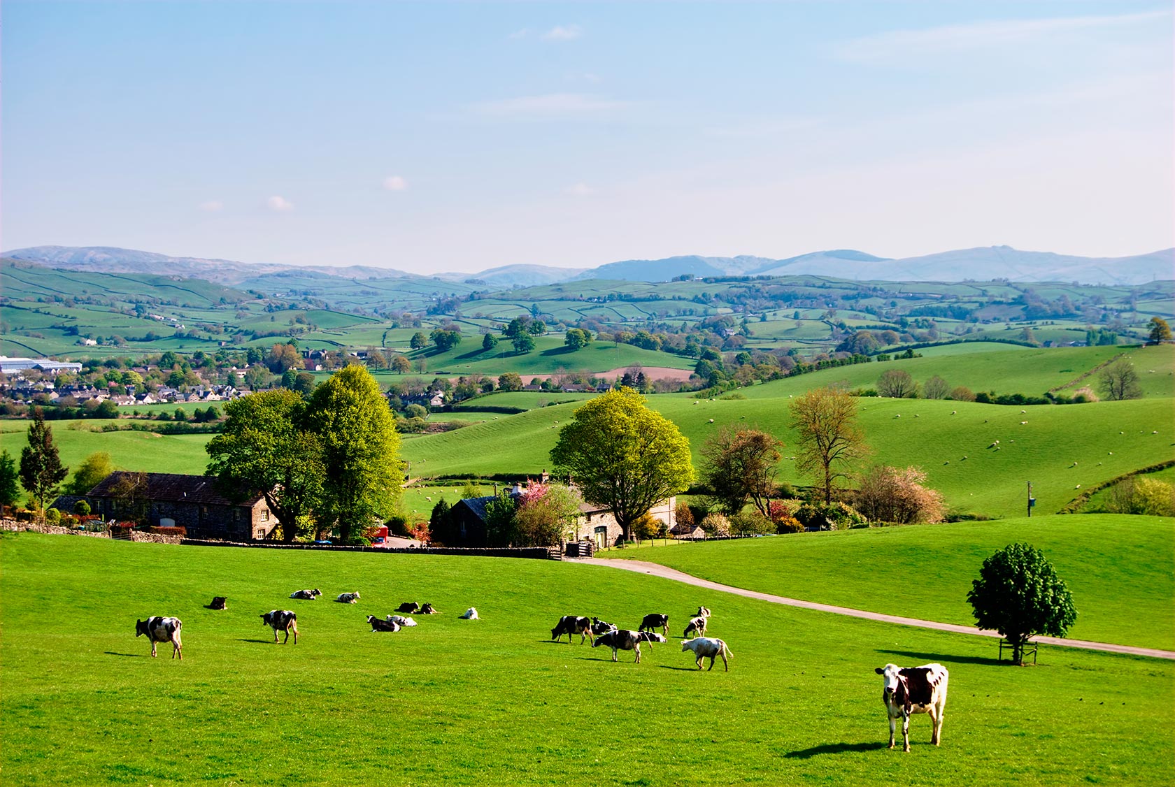Keep-on-the-grass-for-healthy-milk-–-campaign-update-featured-image-rs.jpg