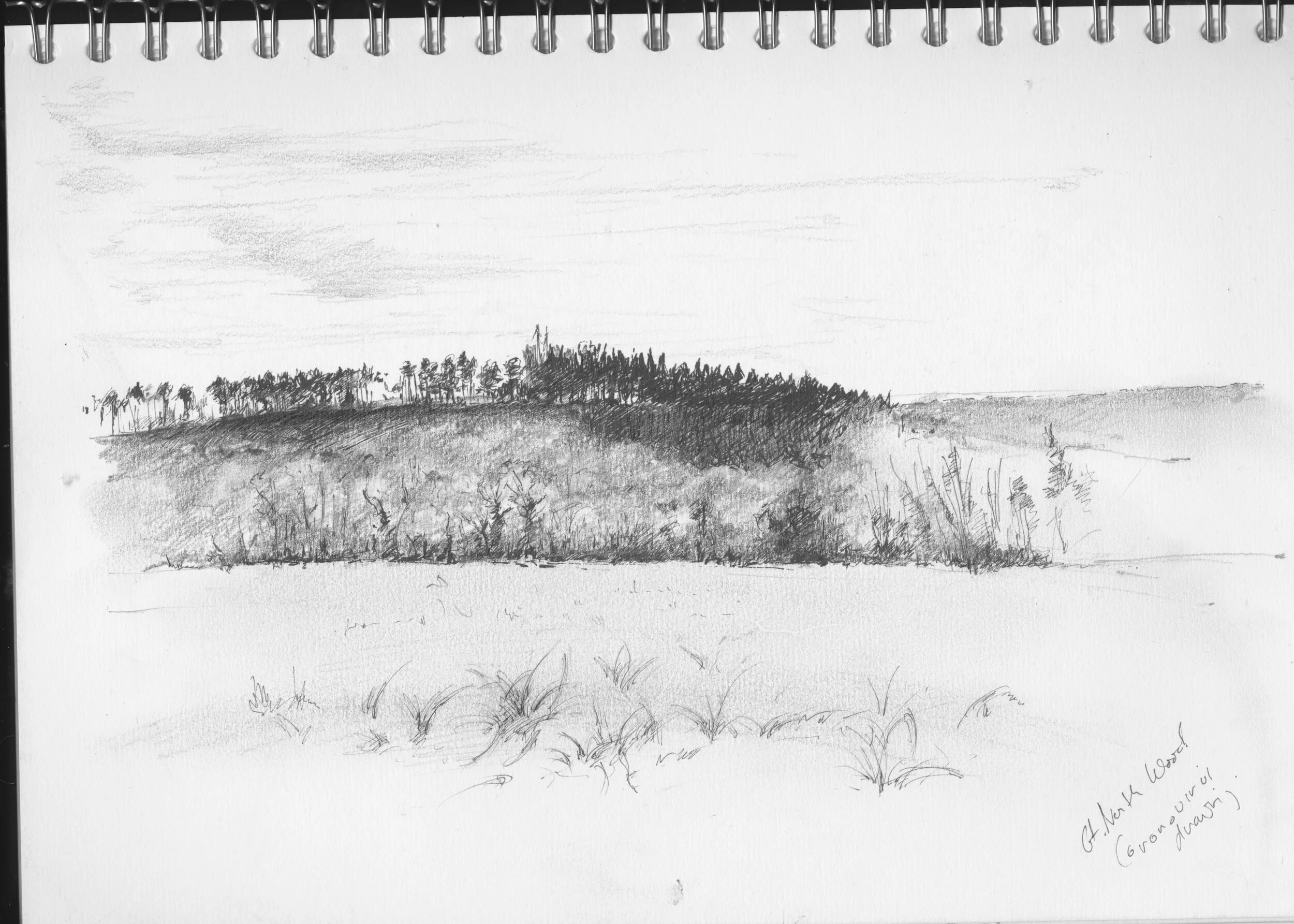 Coronovirus diary 1.jpeg