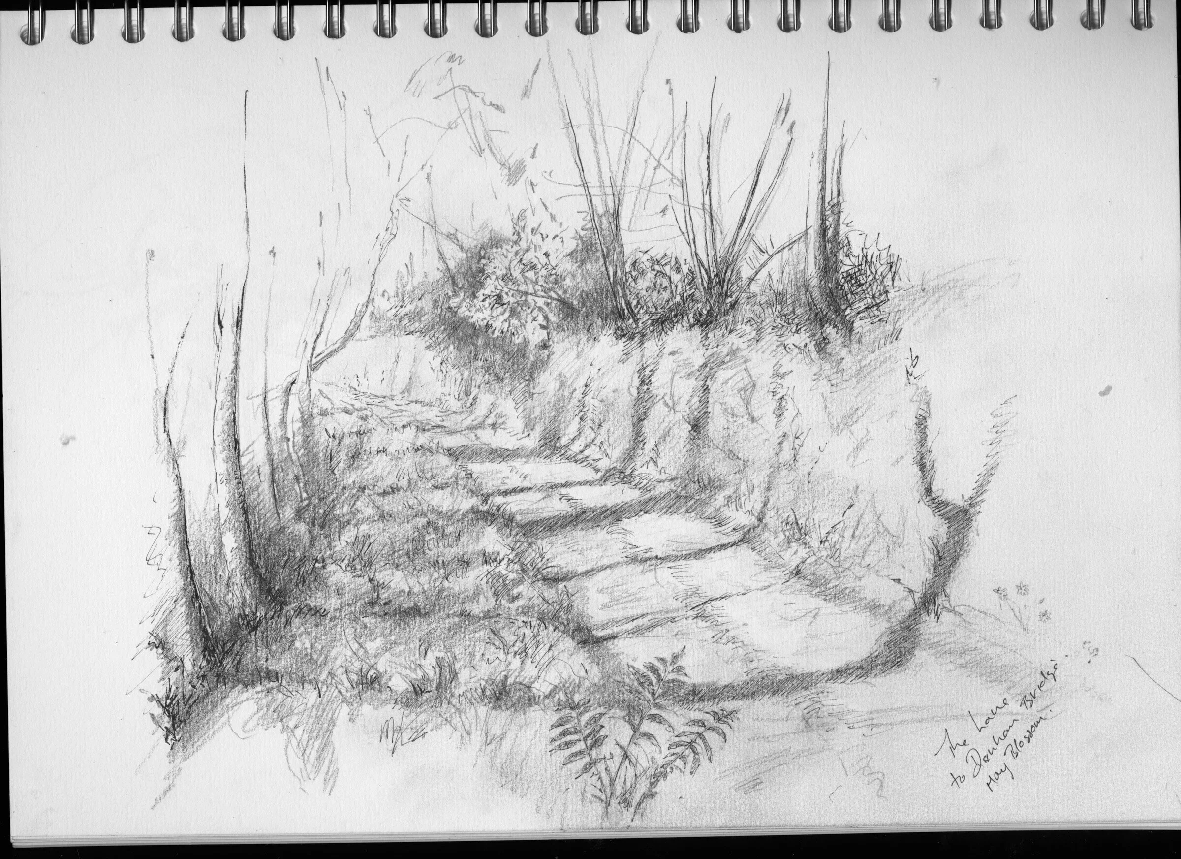 Coronovirus diary 2.jpeg