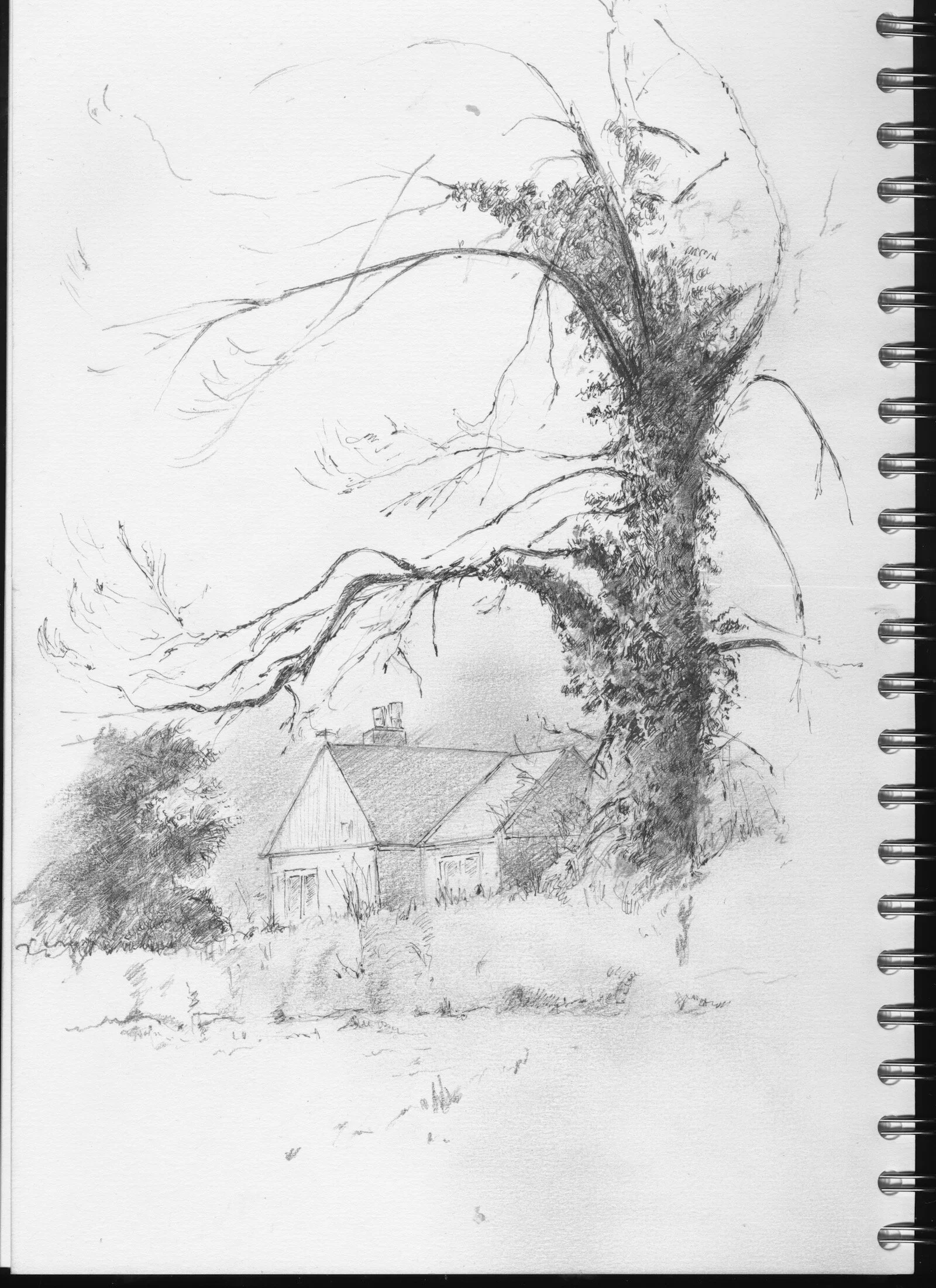 Coronovirus diary 3.jpeg