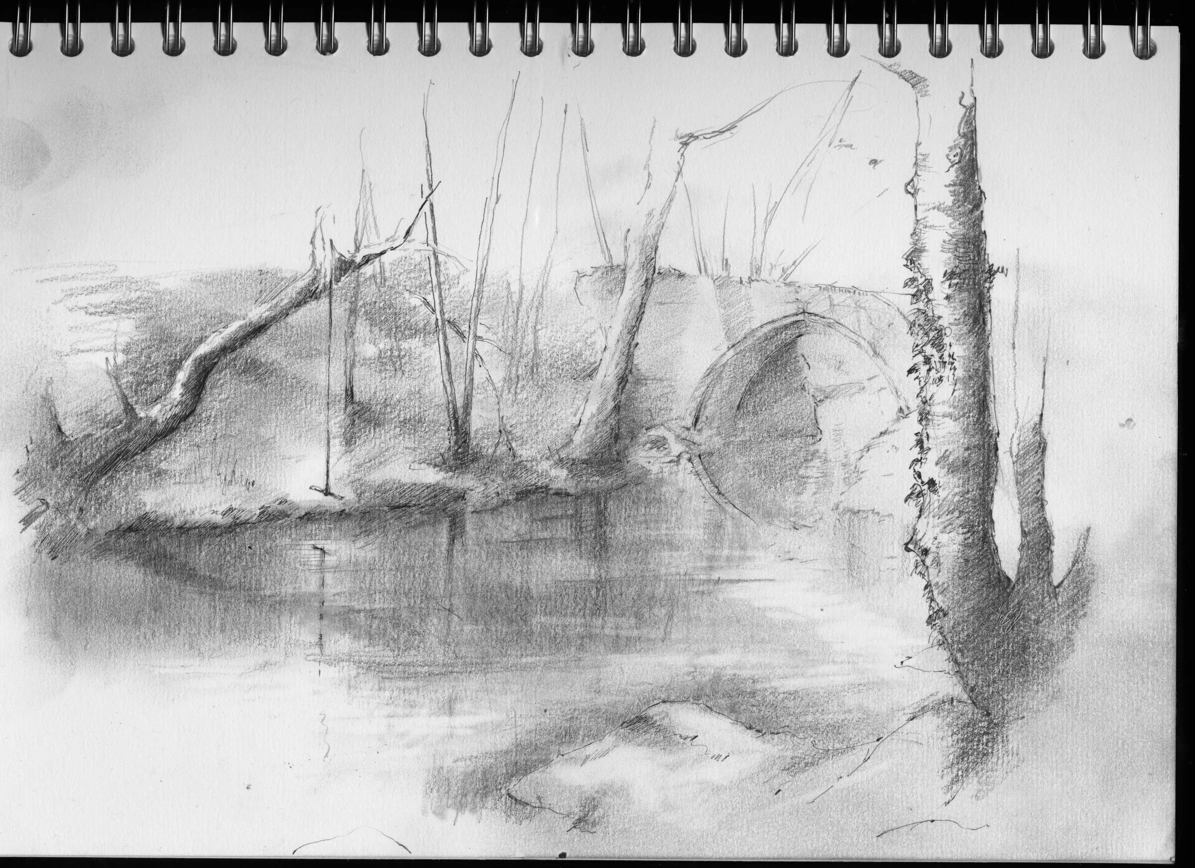 Coronovirus diary 4.jpeg