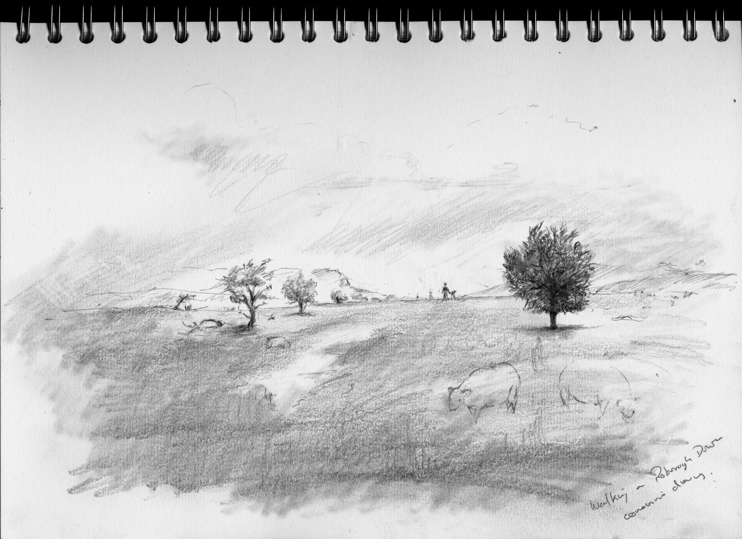 Coronovirus diary 5.jpeg