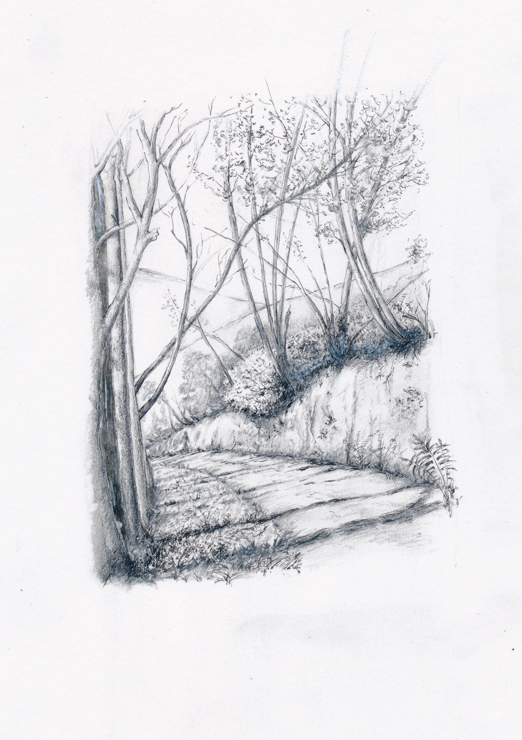 LANE TO DENHAM BRIDGE.jpeg