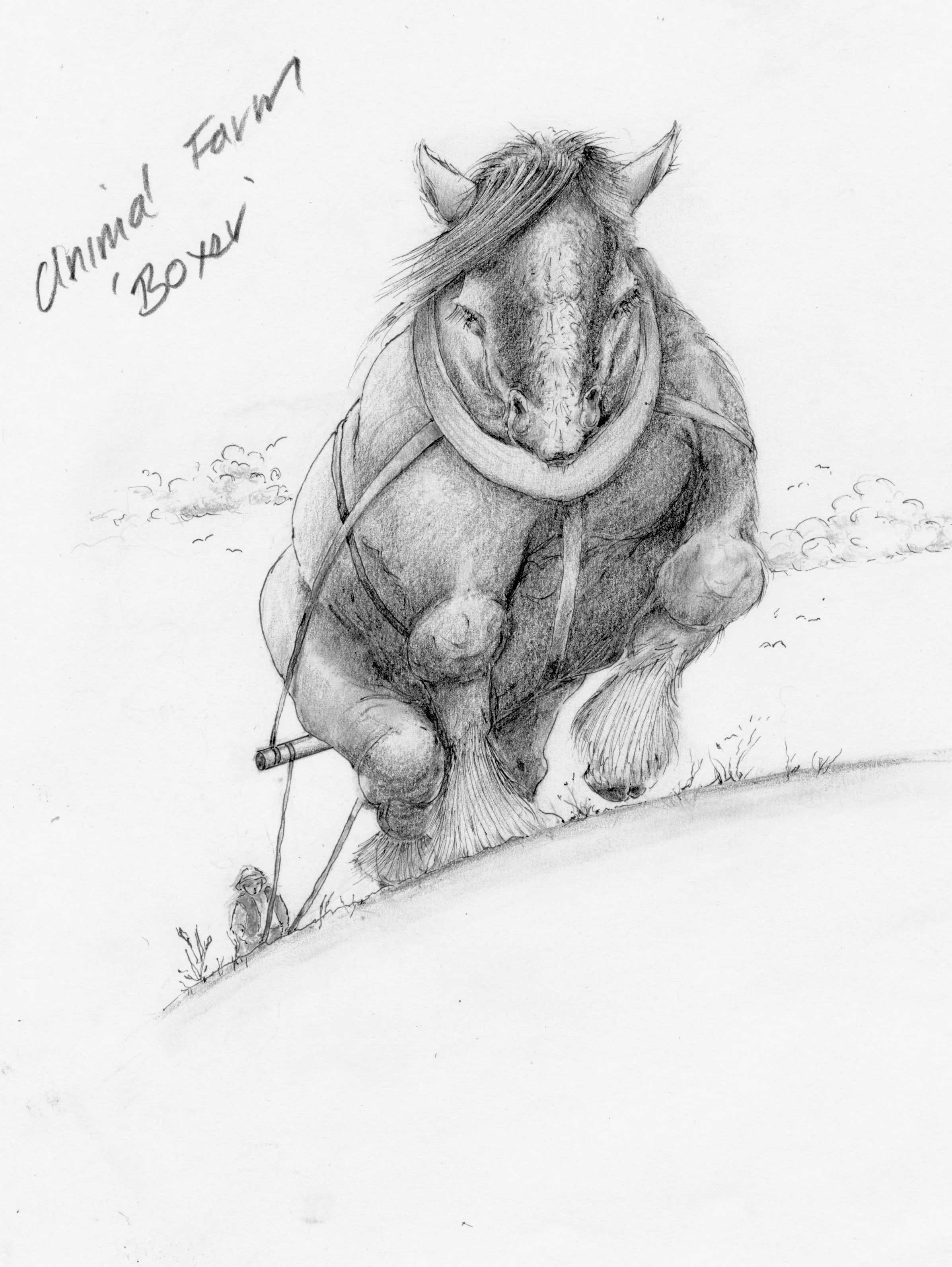 Animal Farm  'Boxer' .jpeg